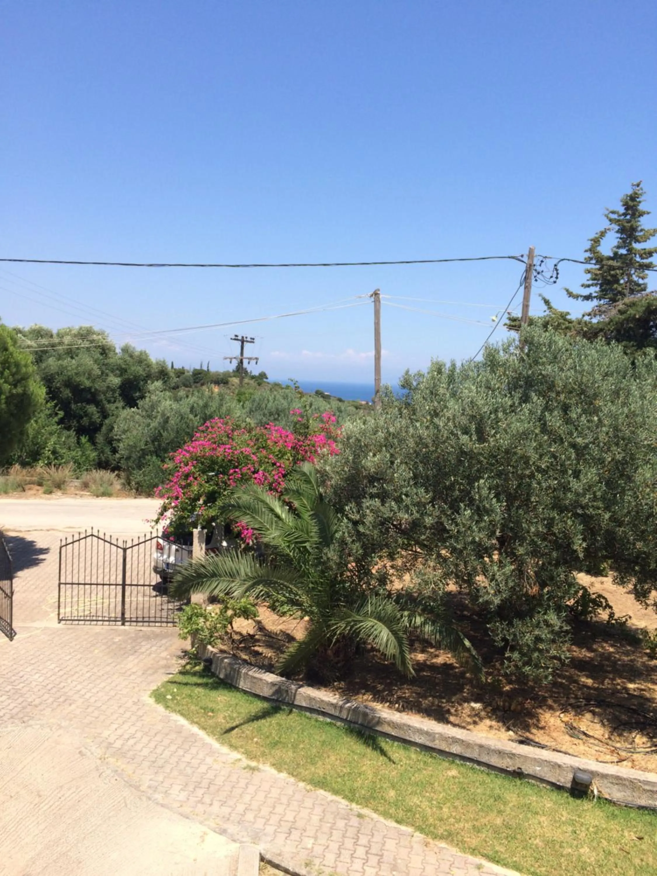 Garden view in Koukounaries Studios