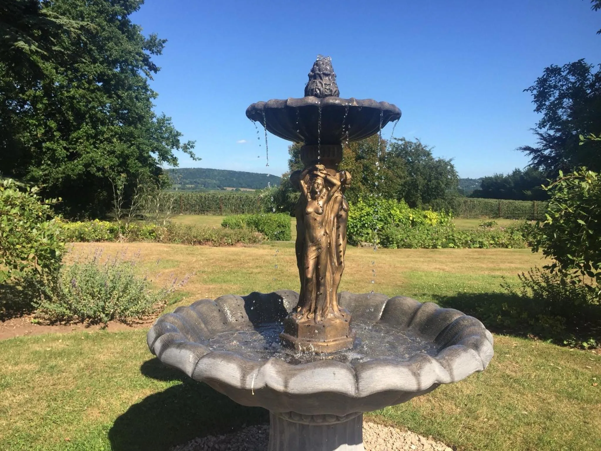 Garden in Glewstone Court Country House Hotel