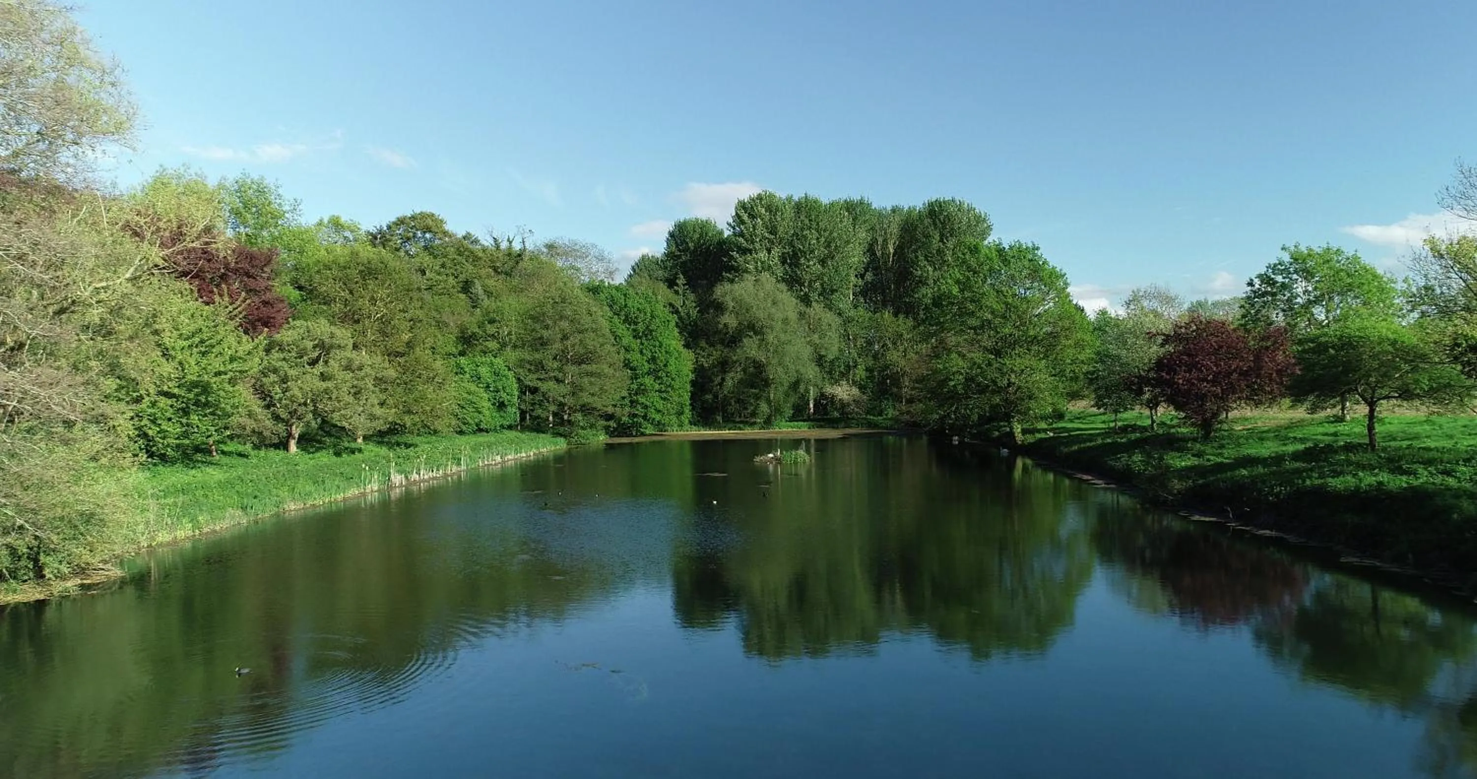 Natural landscape in Glewstone Court Country House Hotel