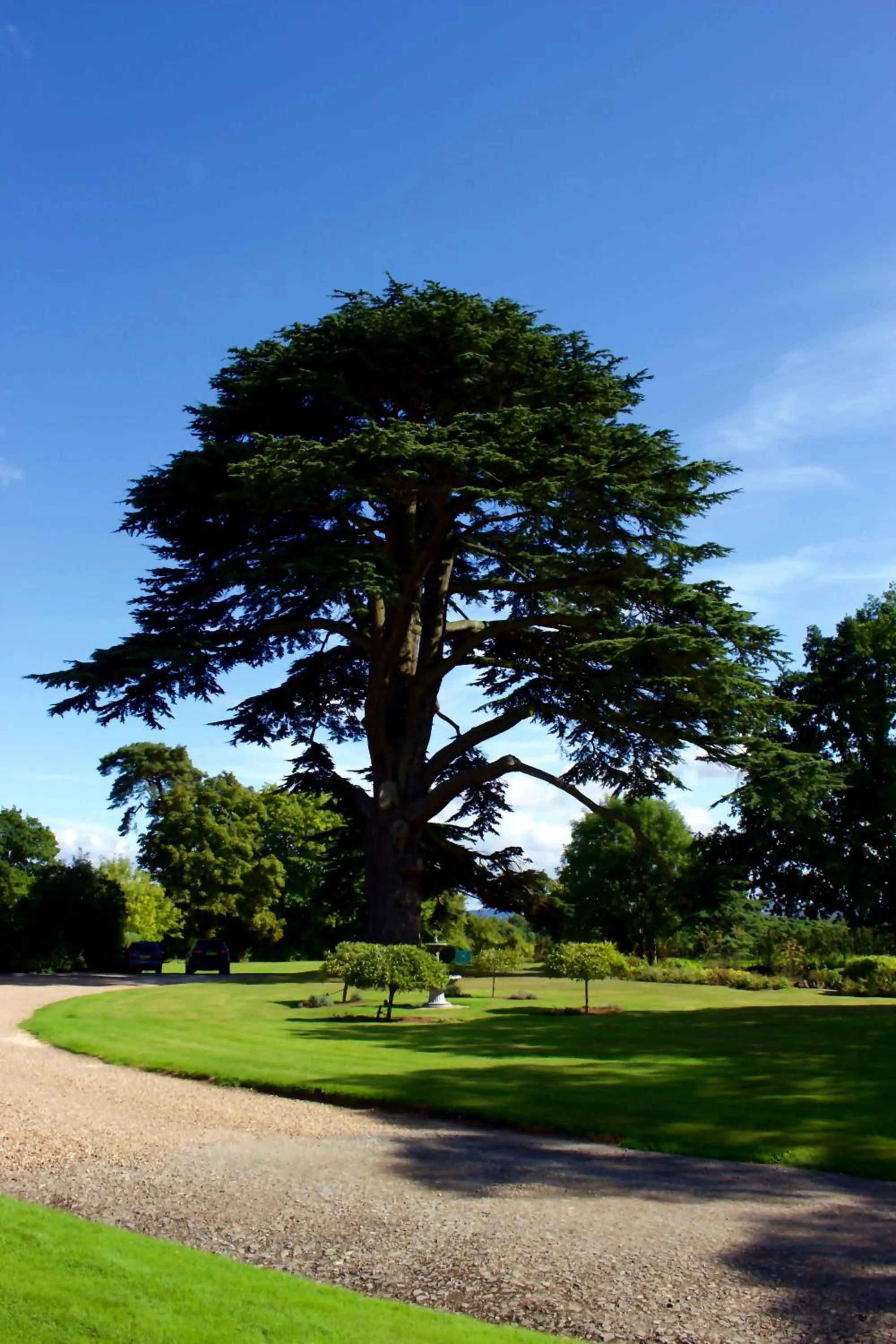 Garden in Glewstone Court Country House Hotel
