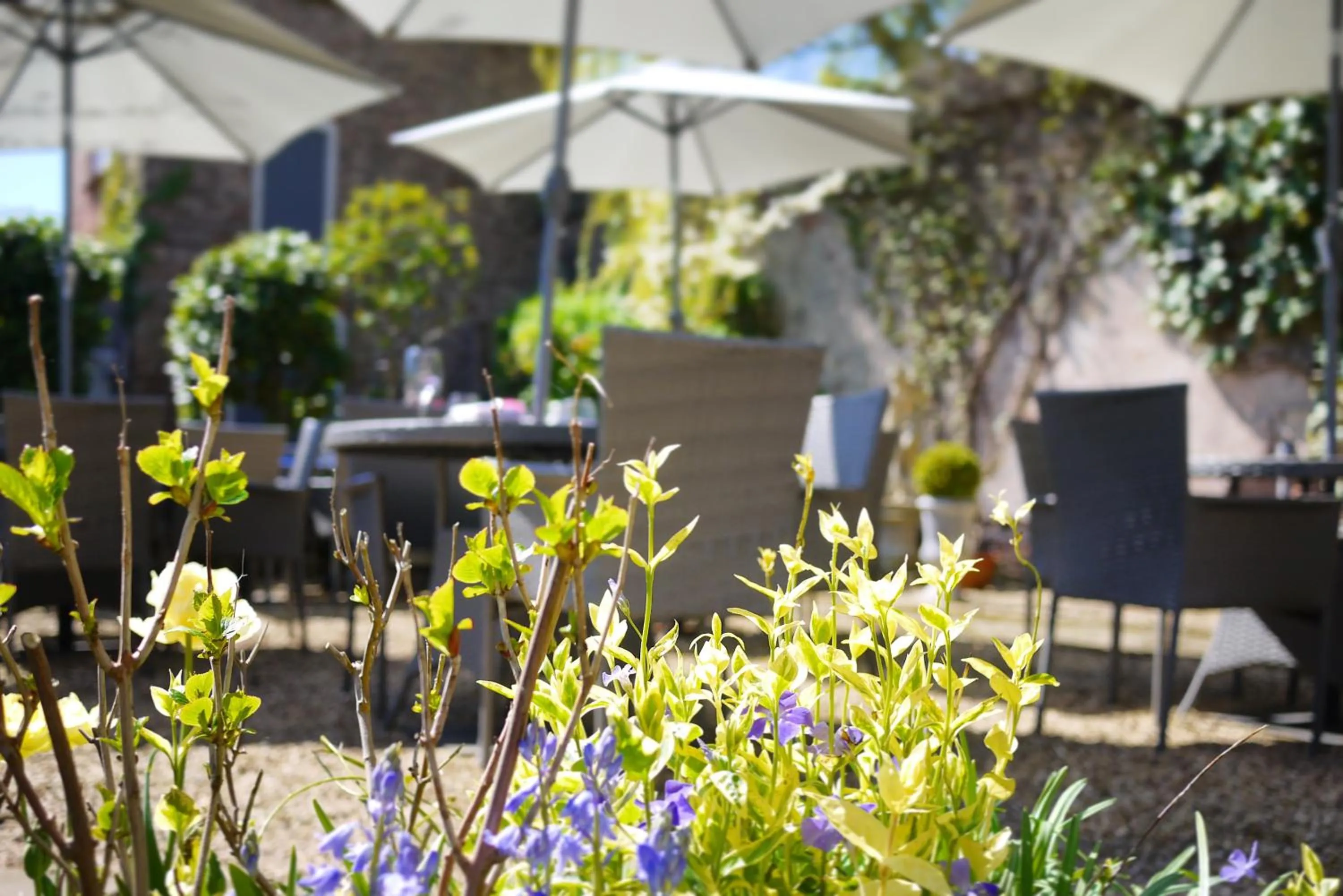 Patio in Glewstone Court Country House Hotel