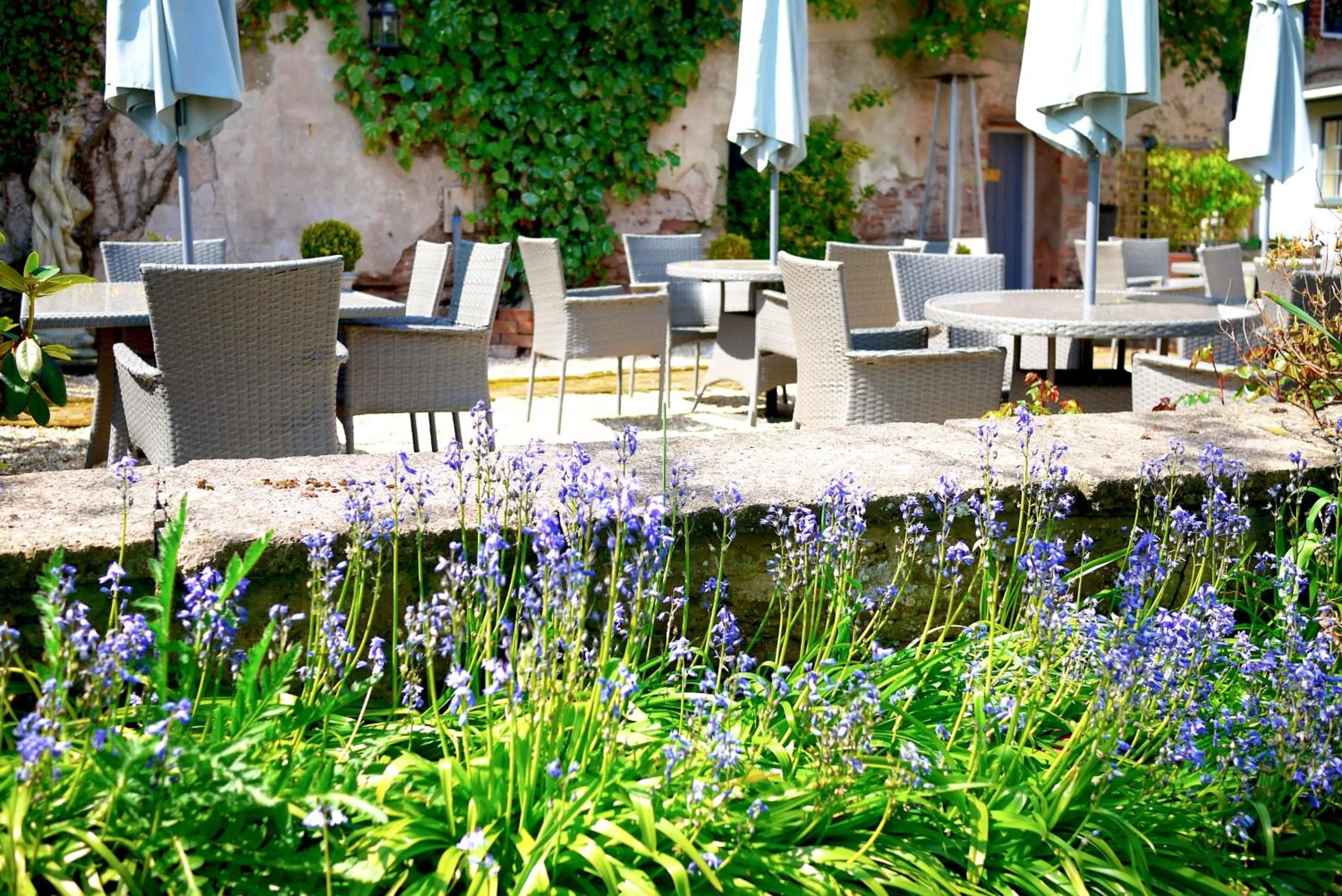 Garden in Glewstone Court Country House Hotel