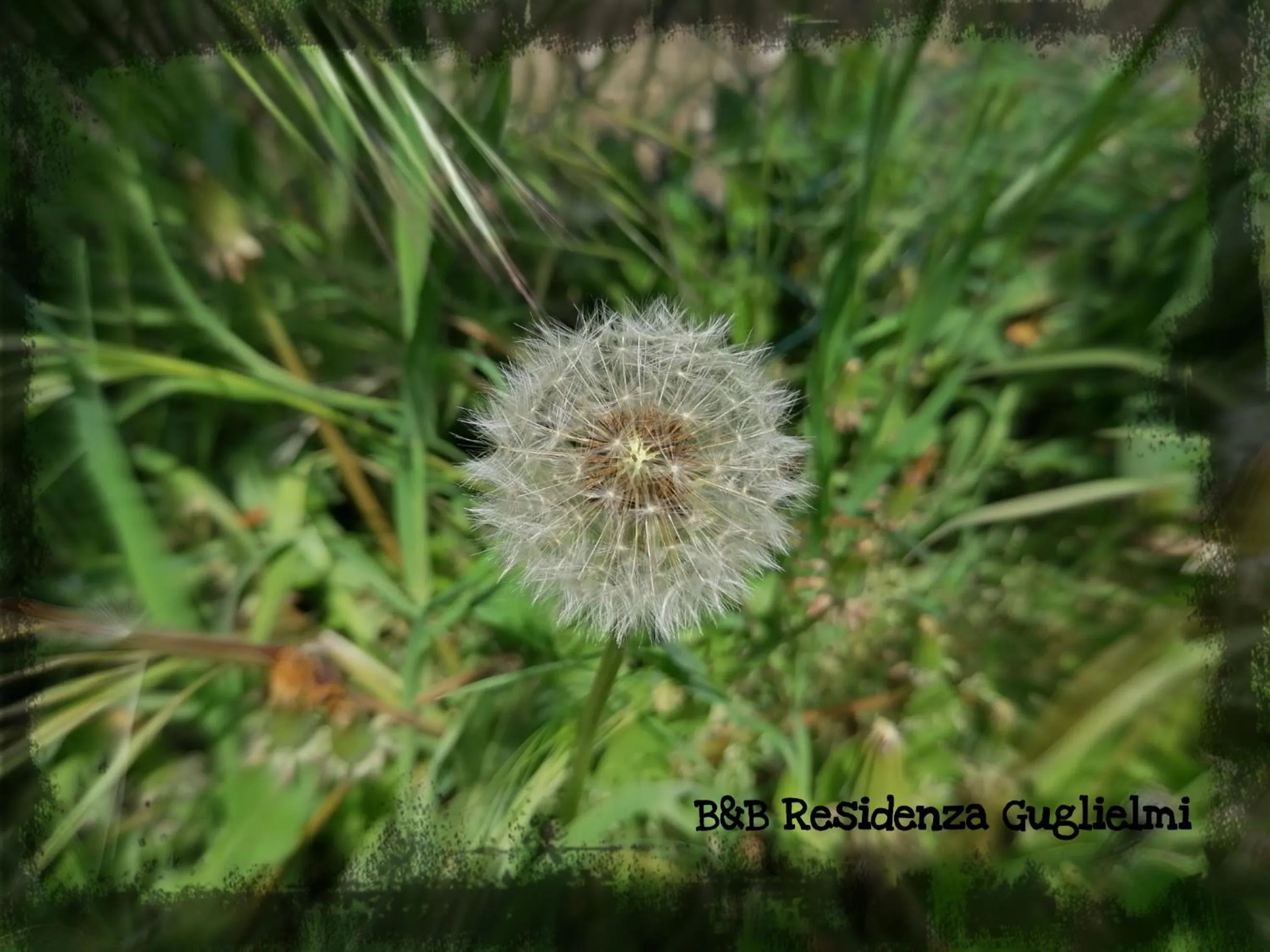 Spring in Residenza Guglielmi