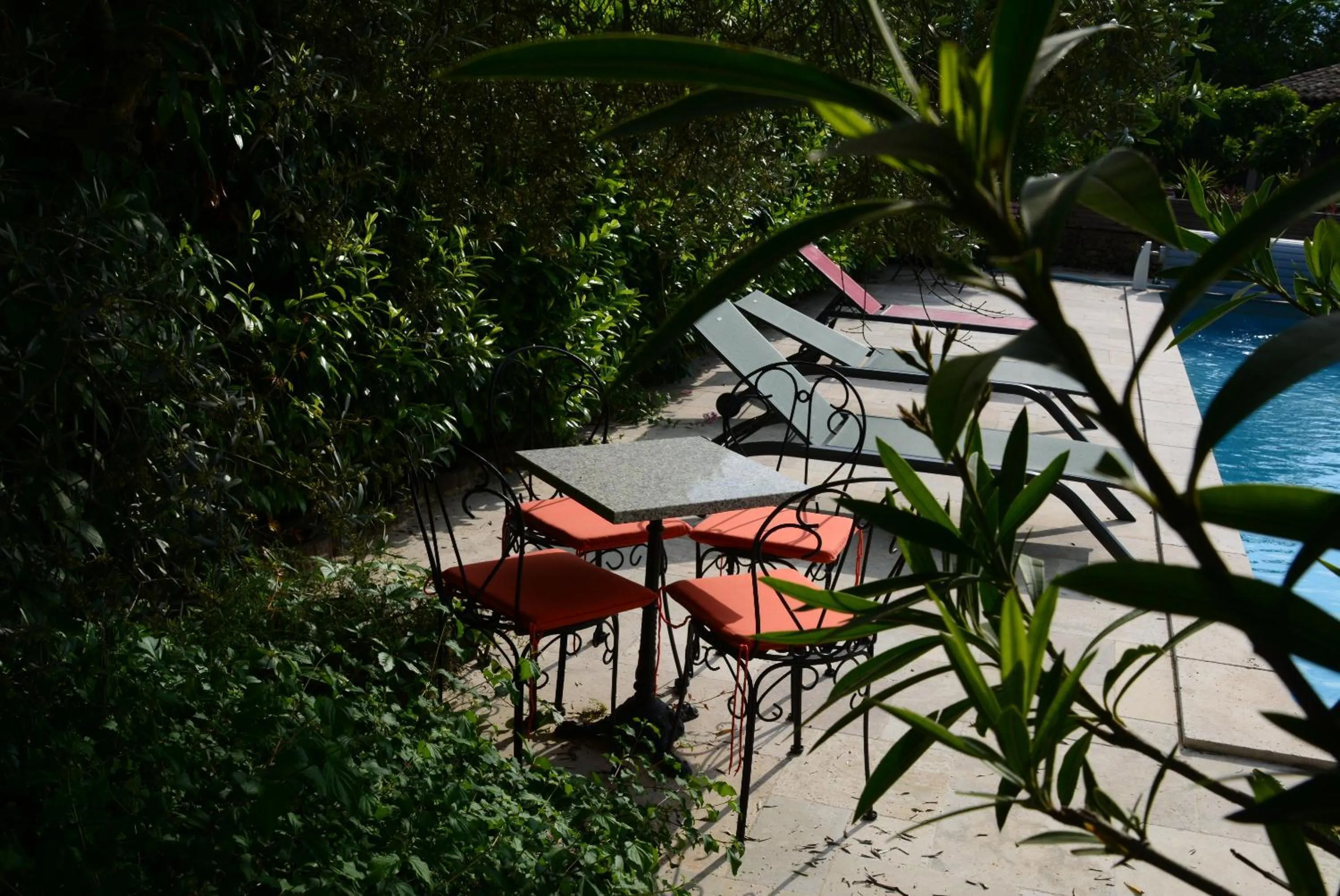 Garden view in Le Mas de Cocagne - Gite et Chambre d'hôte - Piscine et SPA