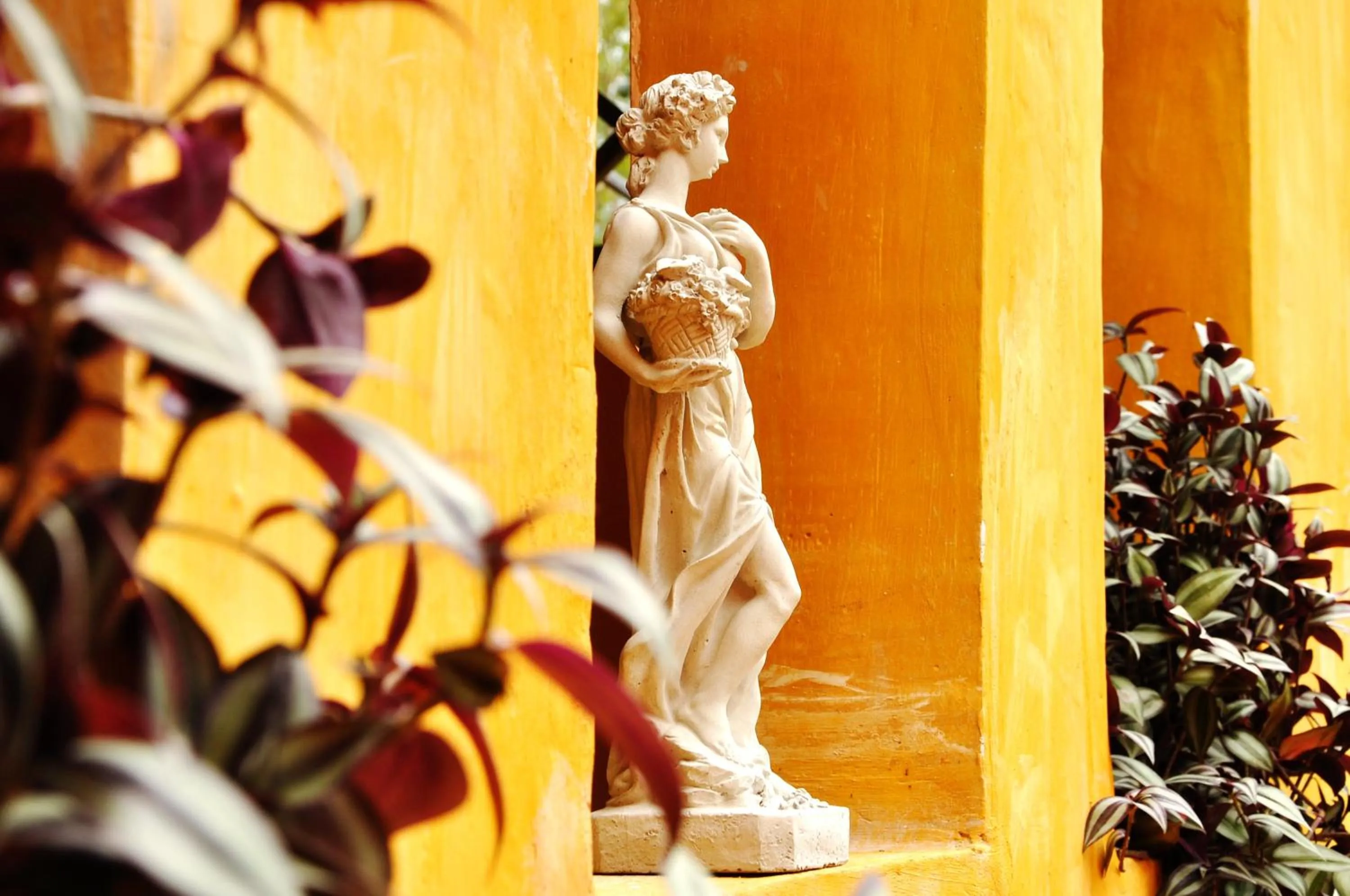 Property building in Davinci Di Khaoyai