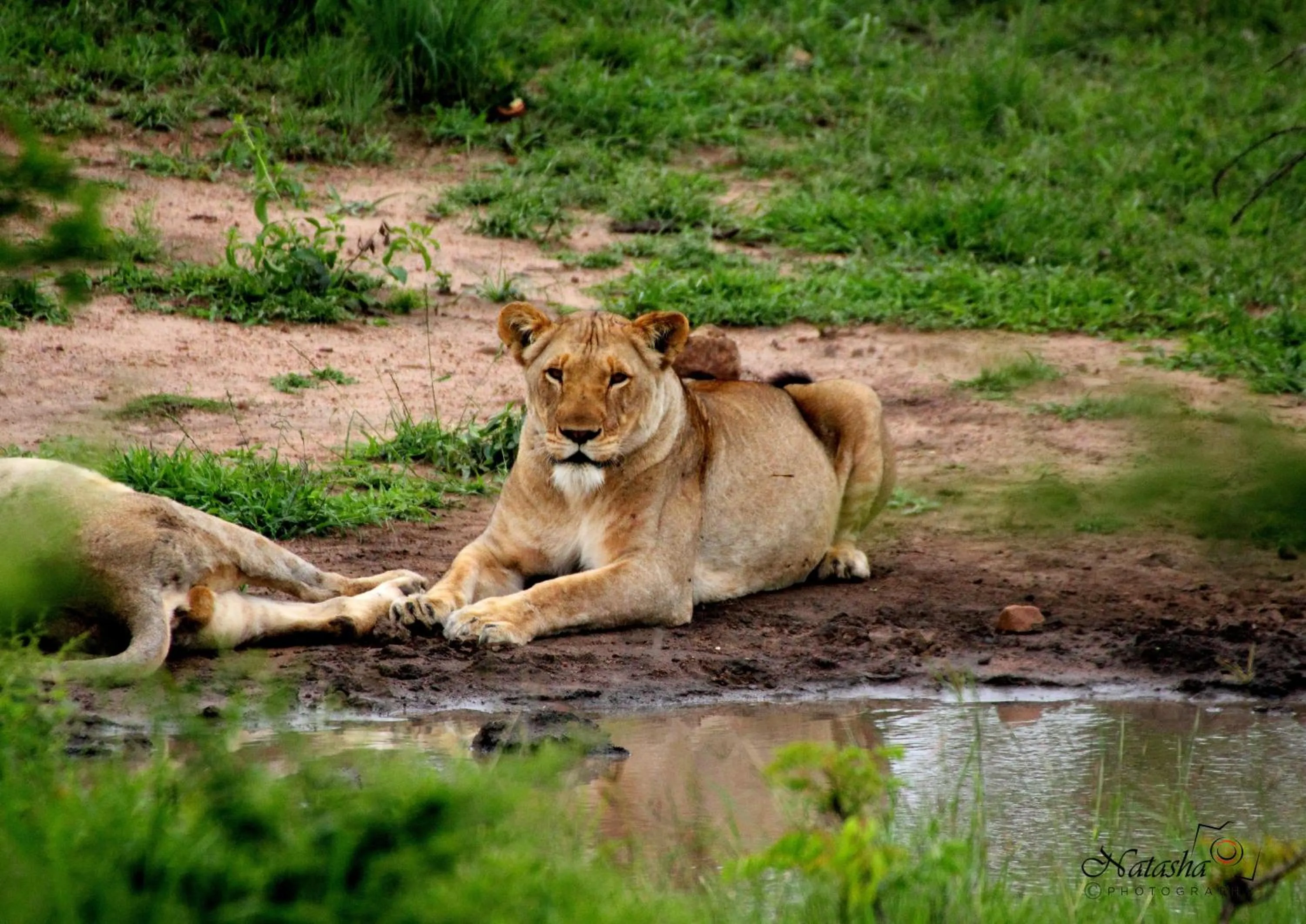 Natural landscape in The Sandpiper