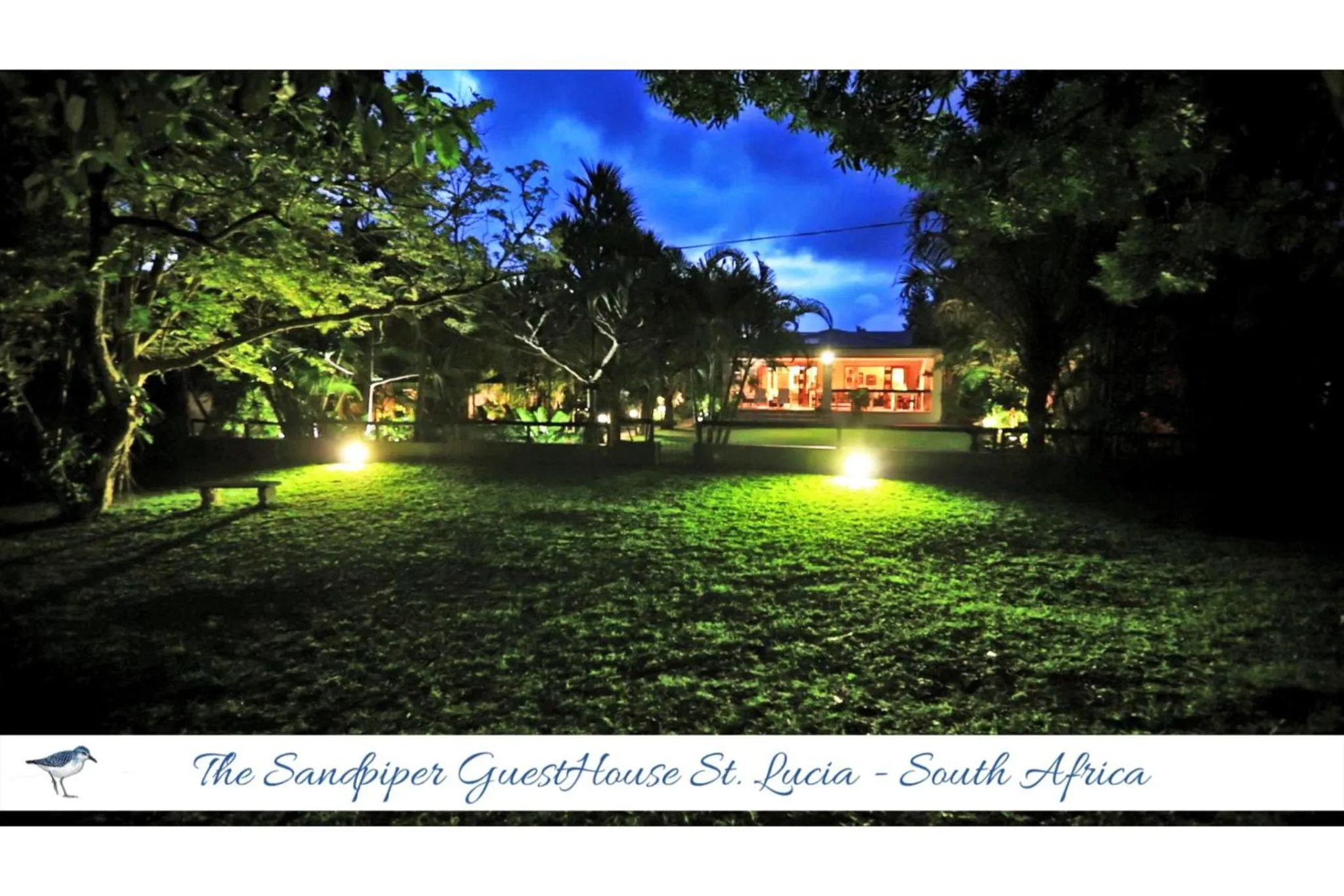 Bird's eye view in The Sandpiper