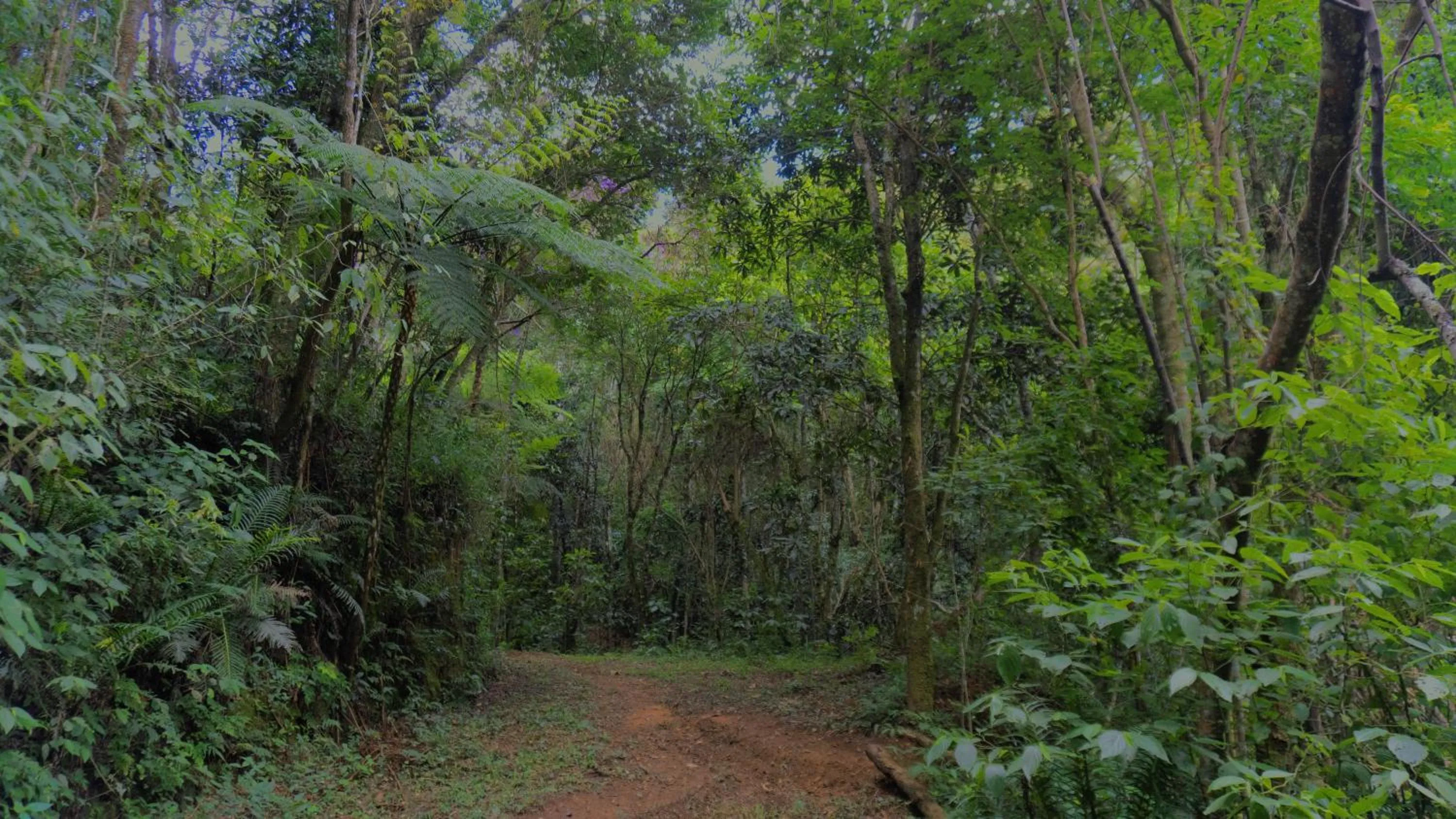 Natural landscape in Pousada Alpes