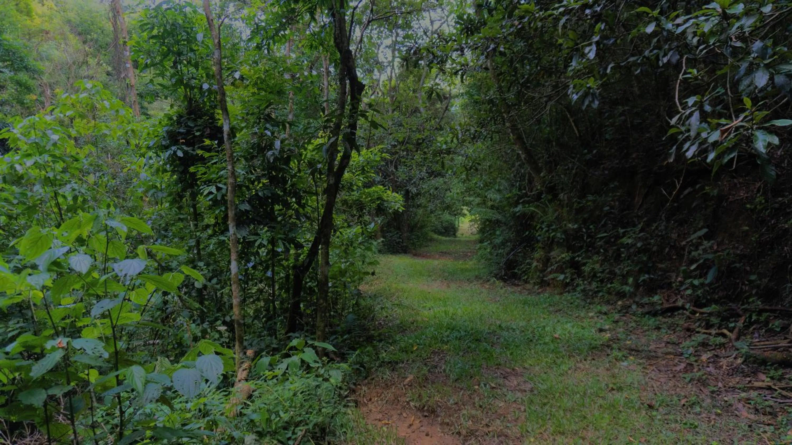 Garden in Pousada Alpes