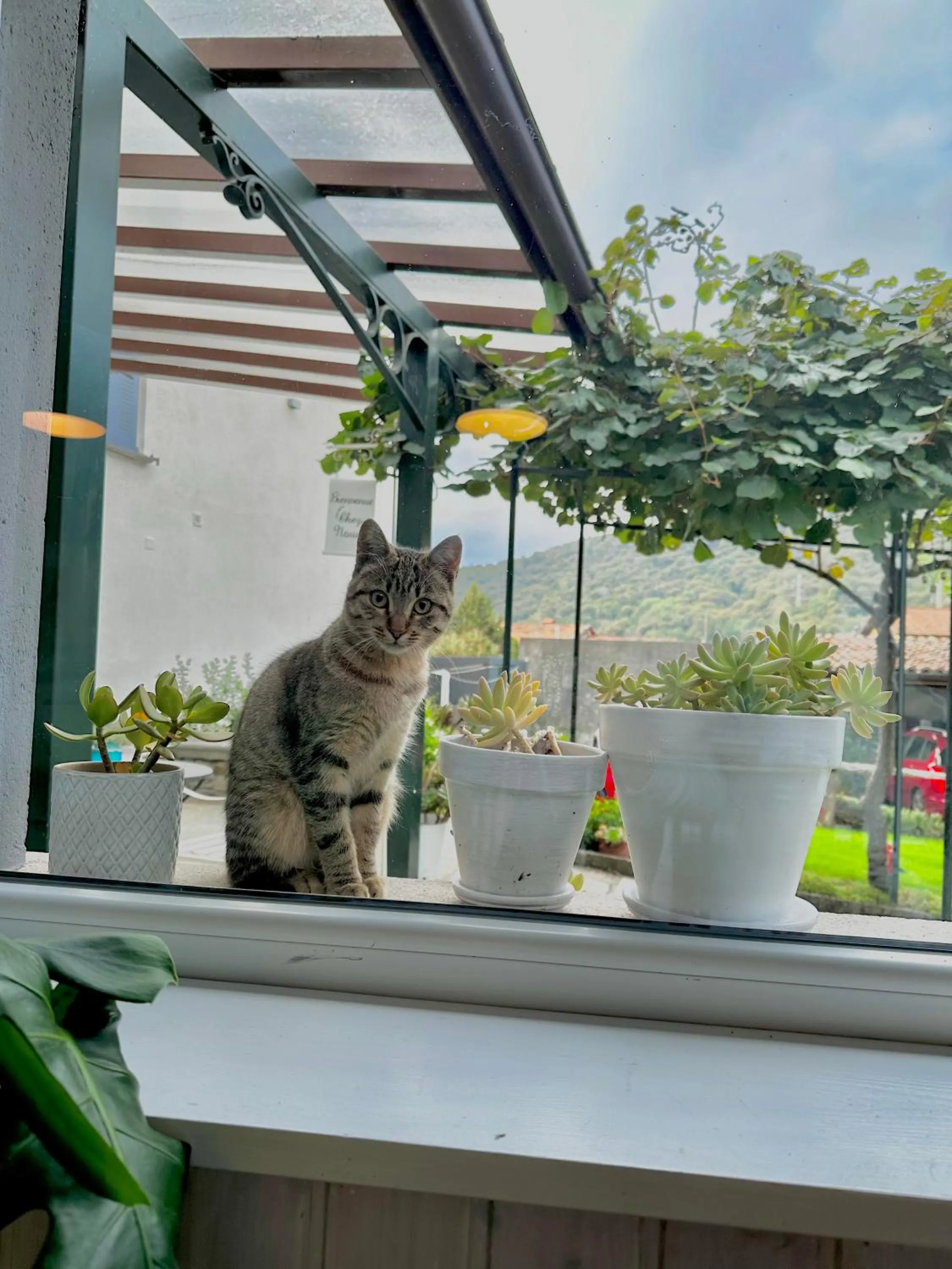B&B La Dolce Casa Lago di Como
