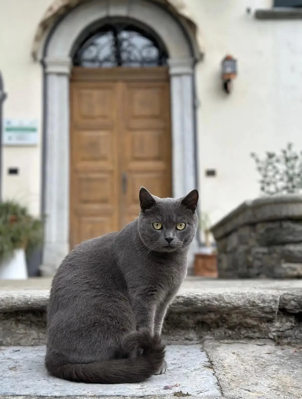 B&B La Dolce Casa Lago di Como