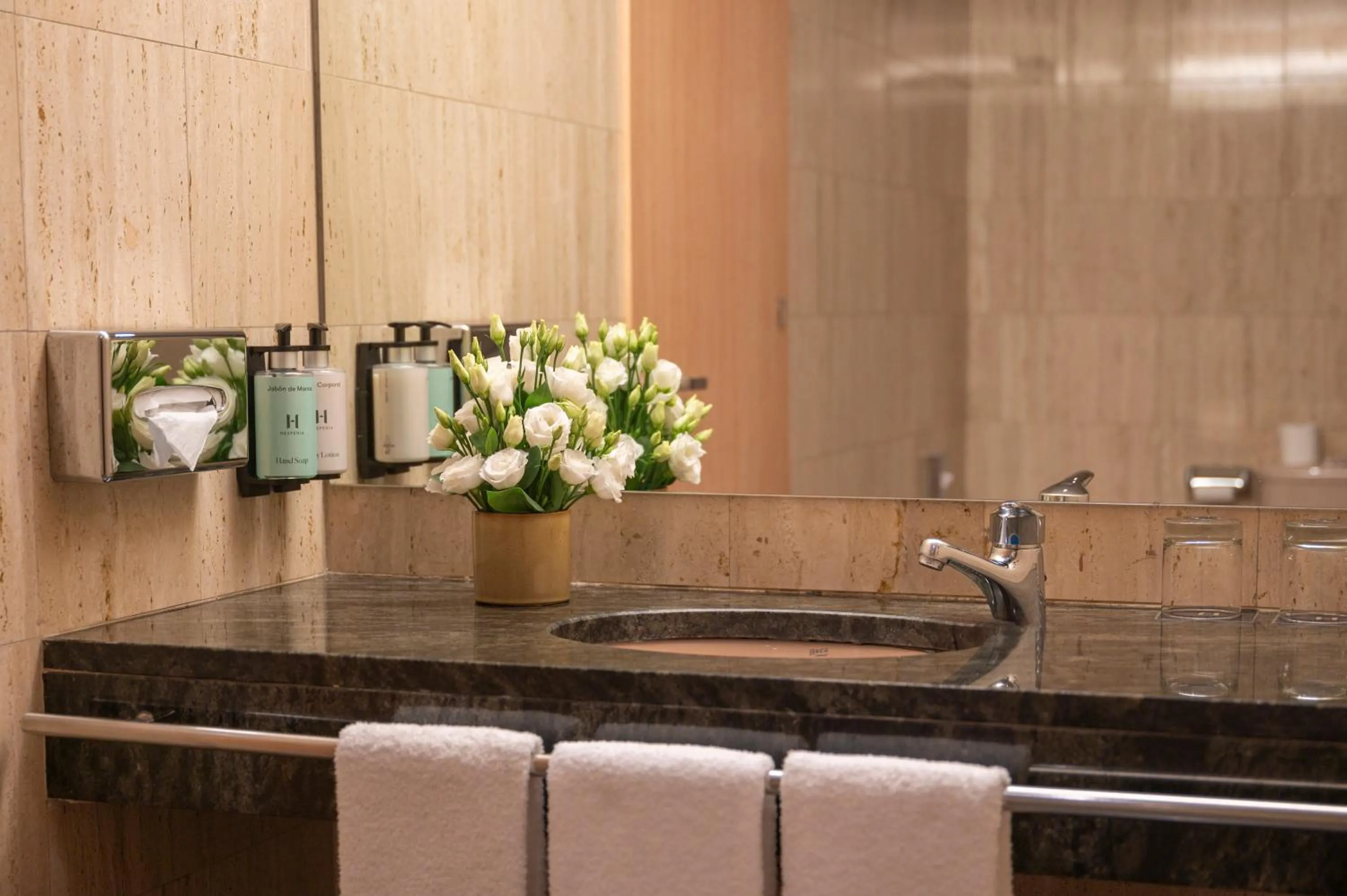 Bathroom in Hesperia Andorra