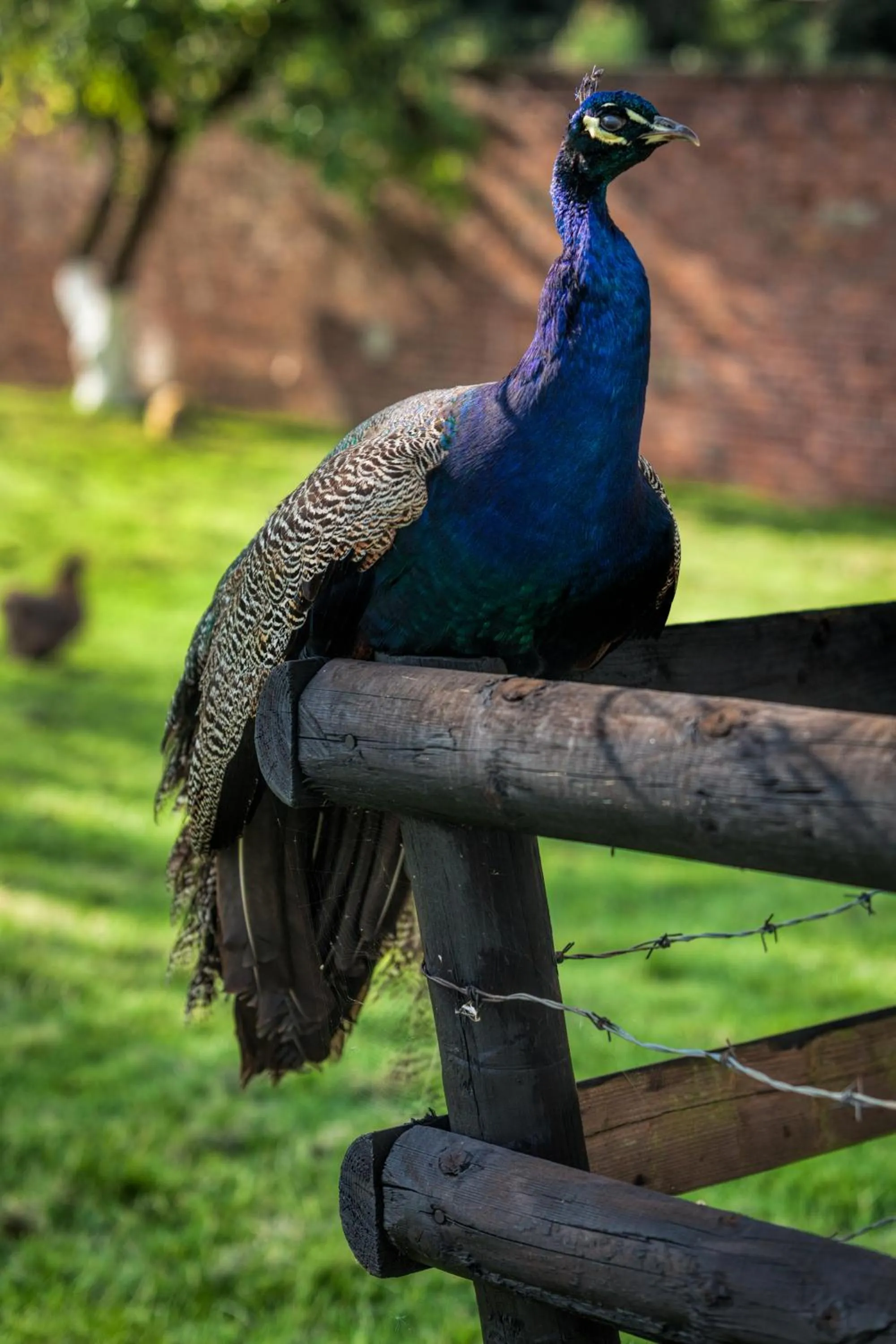 Property building in Oakerthorpe Holiday Village