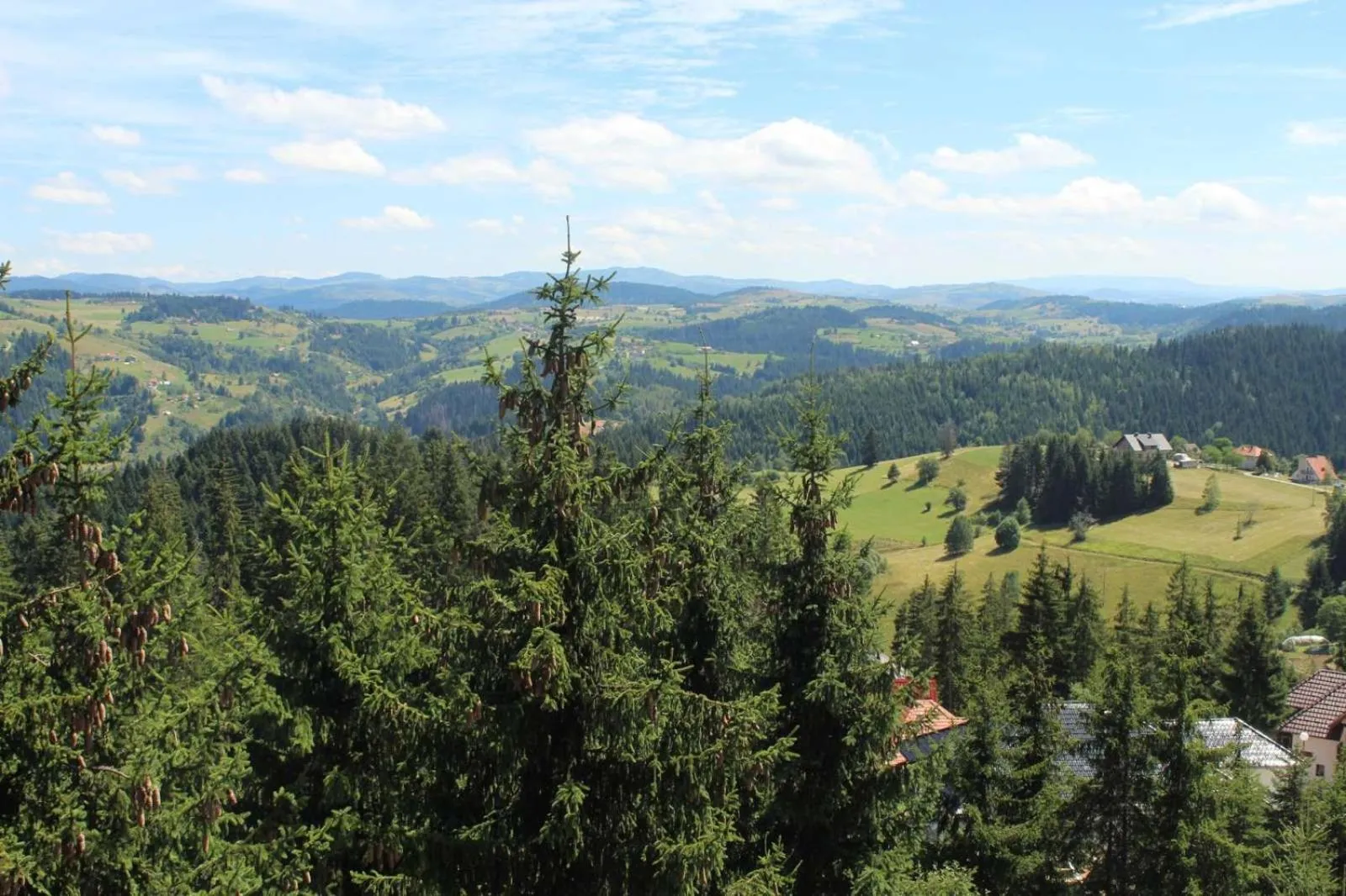 Garden view in IN Hotel Zlatar ex Zlatarski Biseri