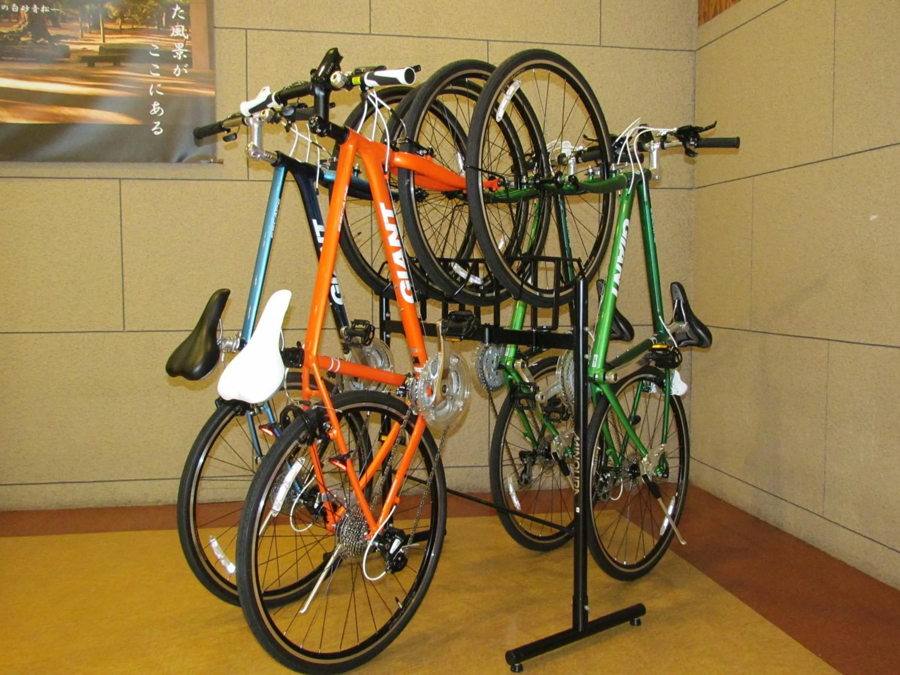 Cycling in Jakomaru Park Tsuda