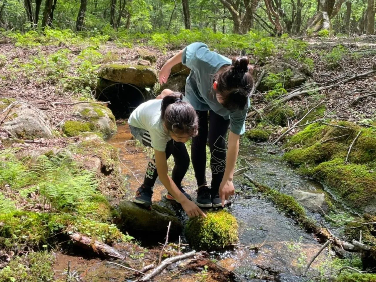 Mineyama Kogen Hotel Relaxia