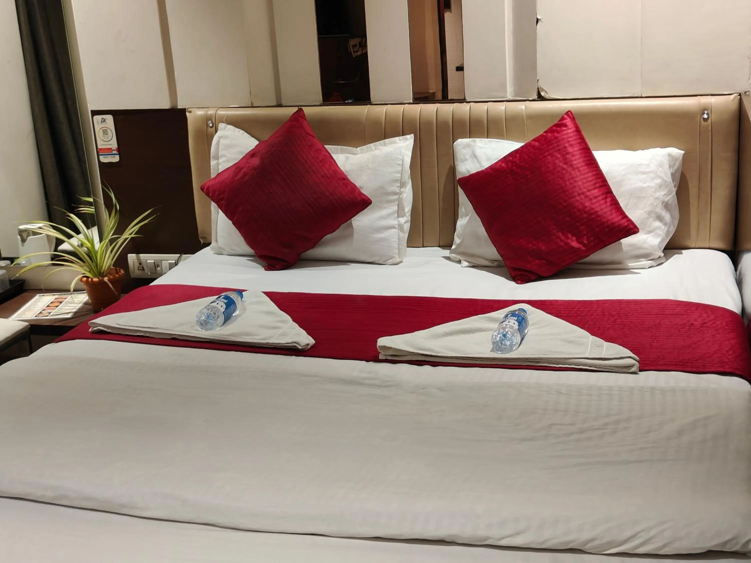 Deluxe Double Room with Balcony in Hotel Anand Palace