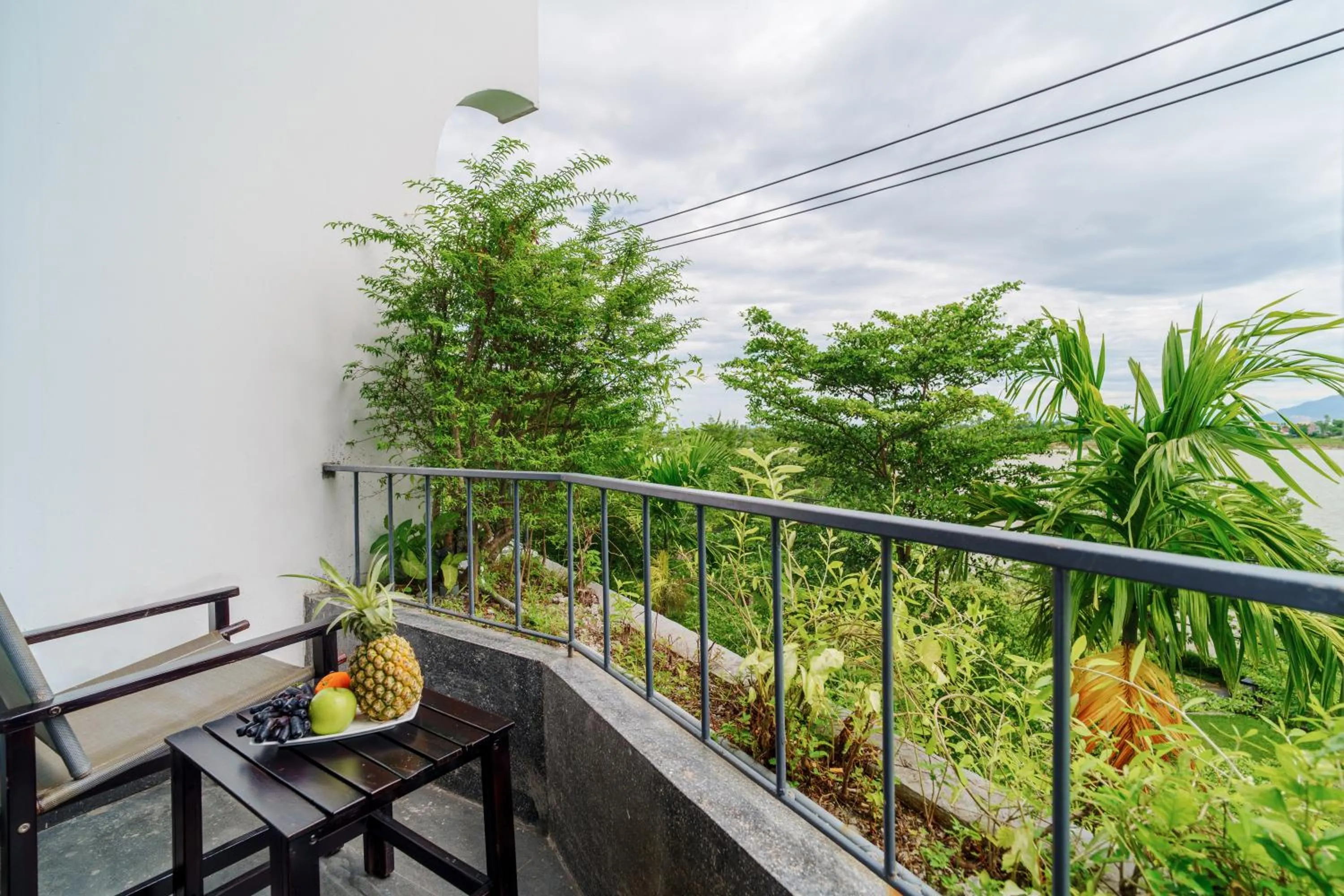 Natural landscape in Serene Riverside Hotel Hoi An