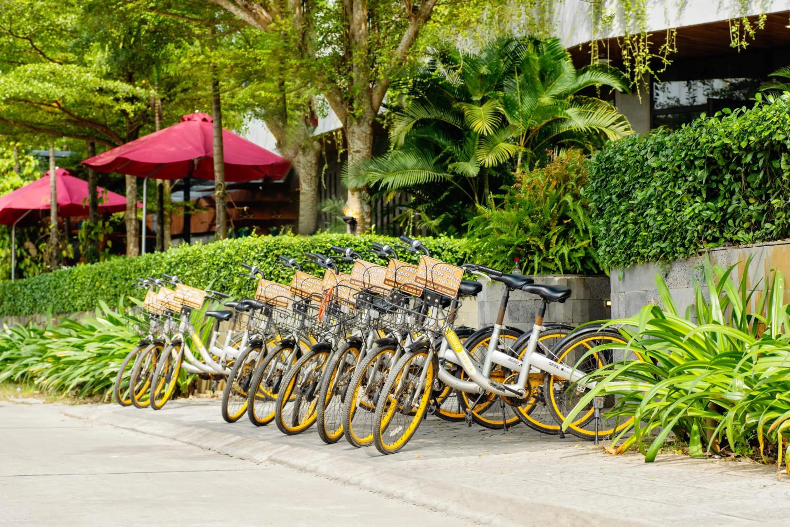 Cycling in Gia Huy Riverside Hotel Hoi An