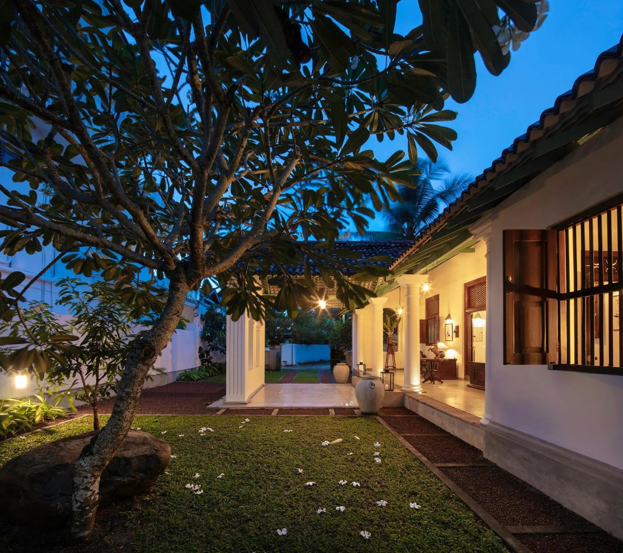 Garden in Green Casa