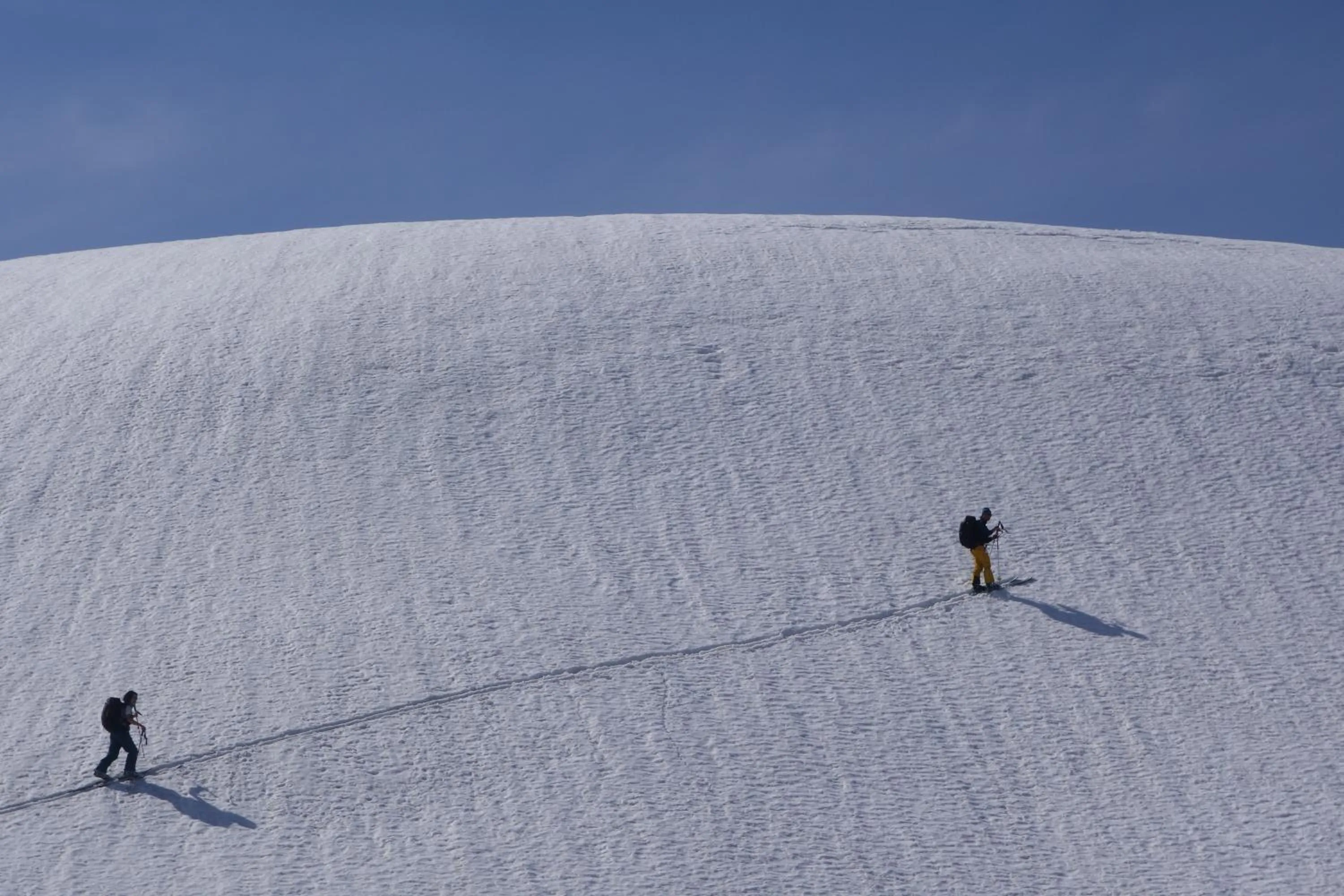 Skiing in Schole Hakuba
