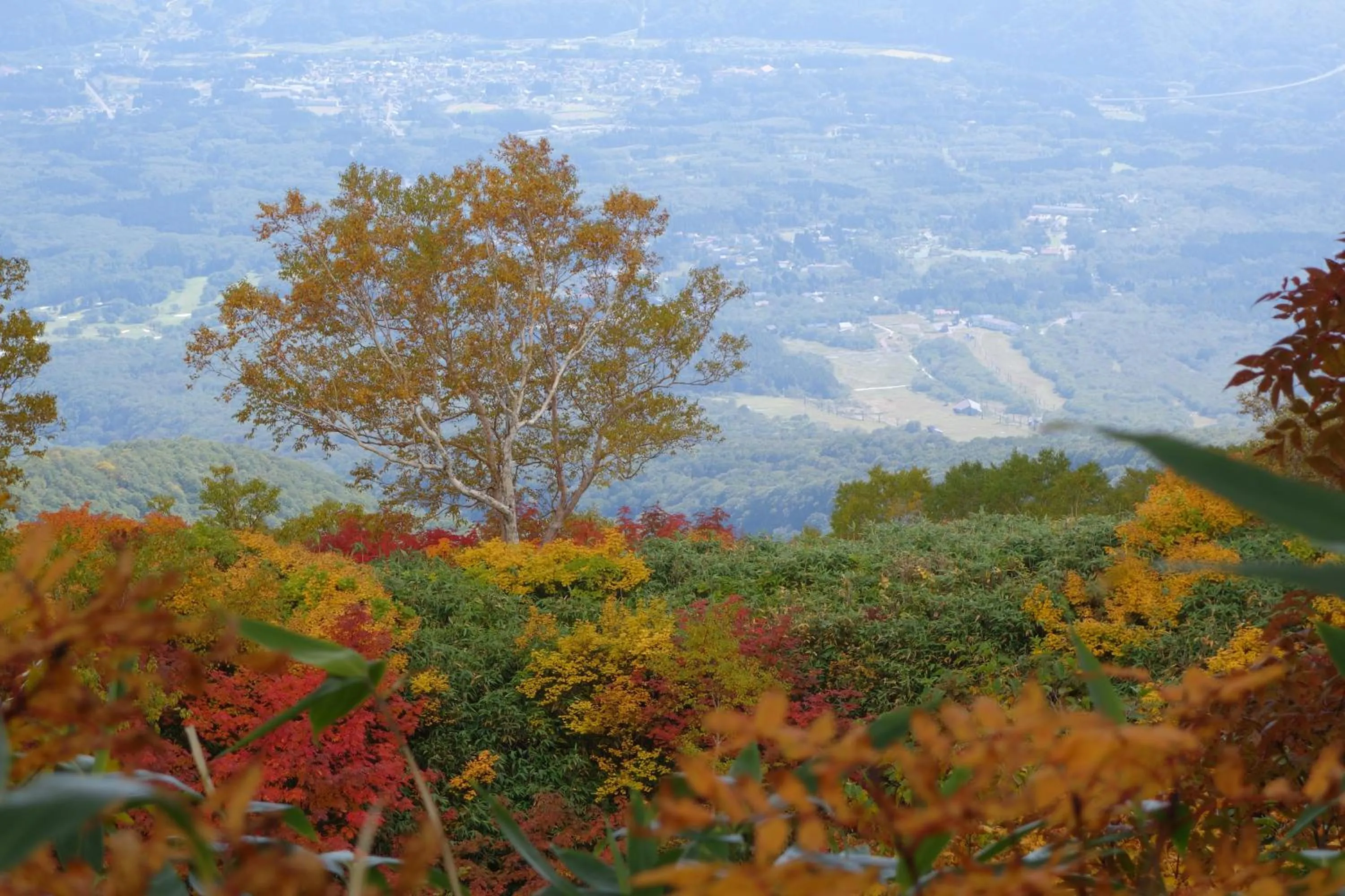Hiking in Schole Hakuba