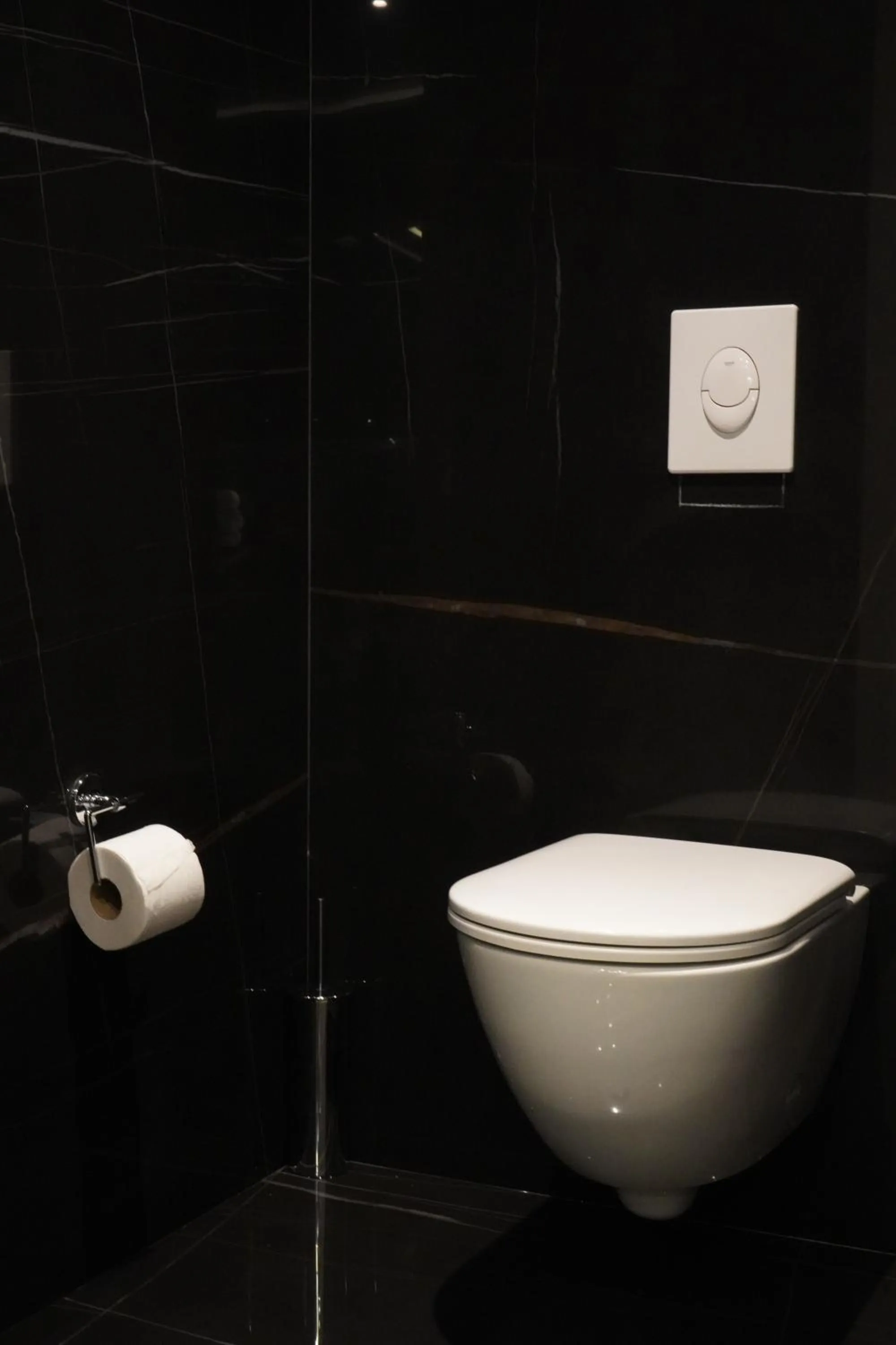 Toilet in Bougainville Bay Hotel