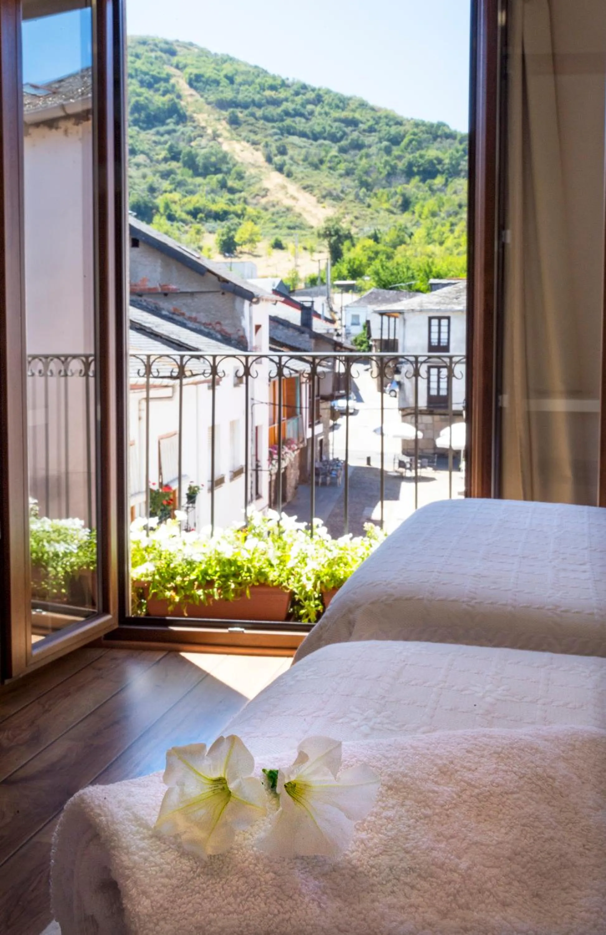Photo of the whole room, Bed in Hotel Molina Real