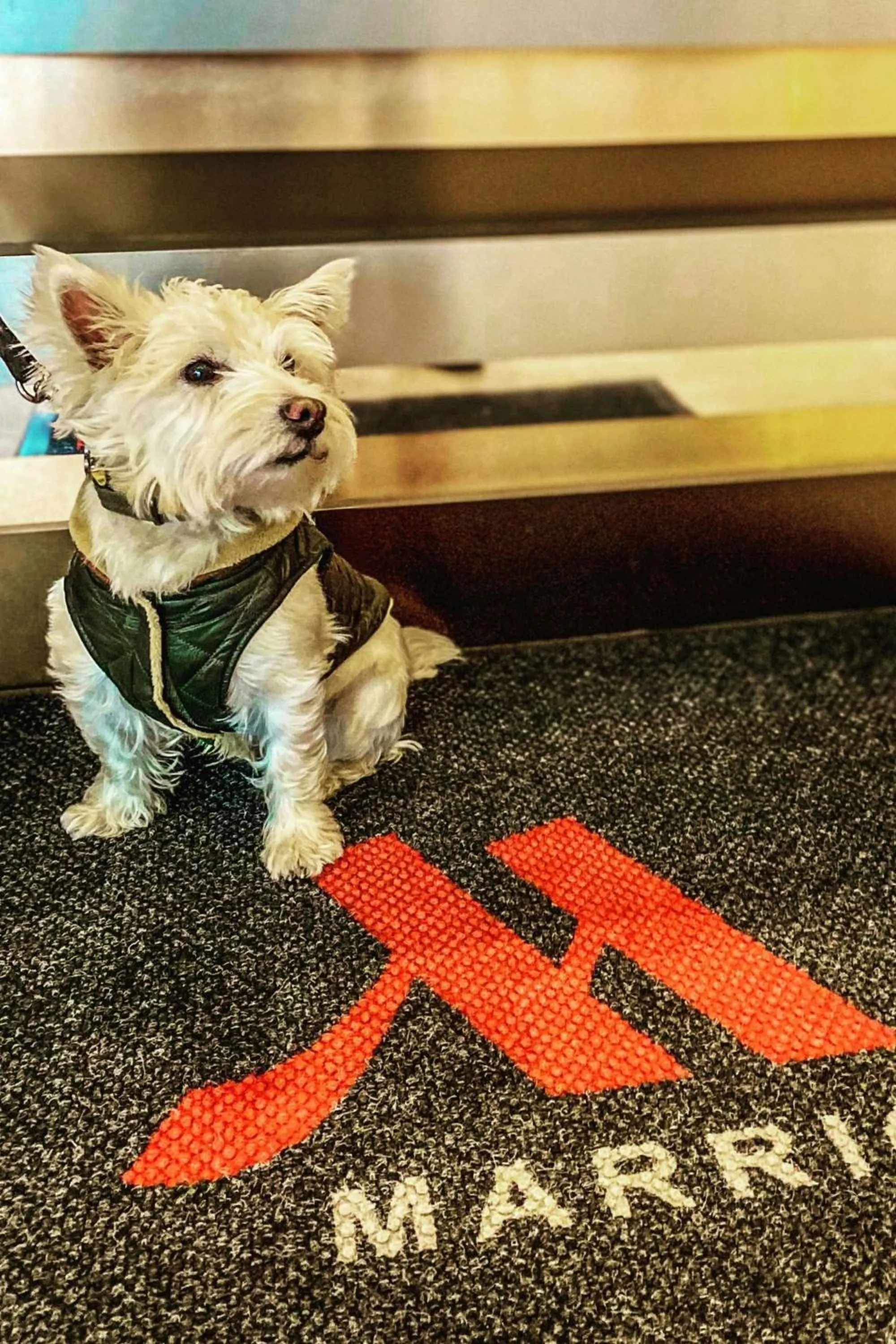 Other in Ithaca Marriott Downtown on the Commons