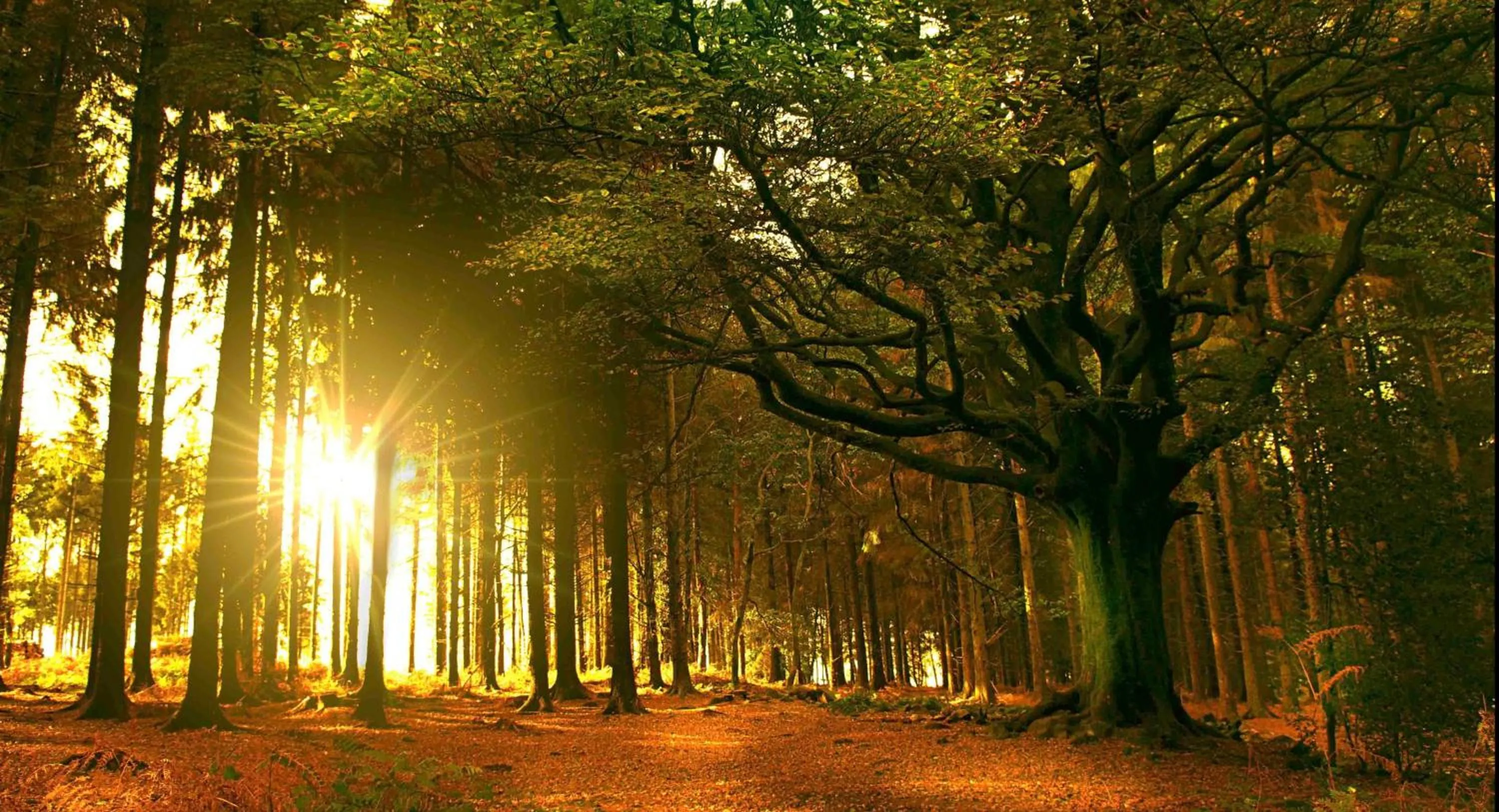 Activities in Kerarz - Chambre d'hôtes