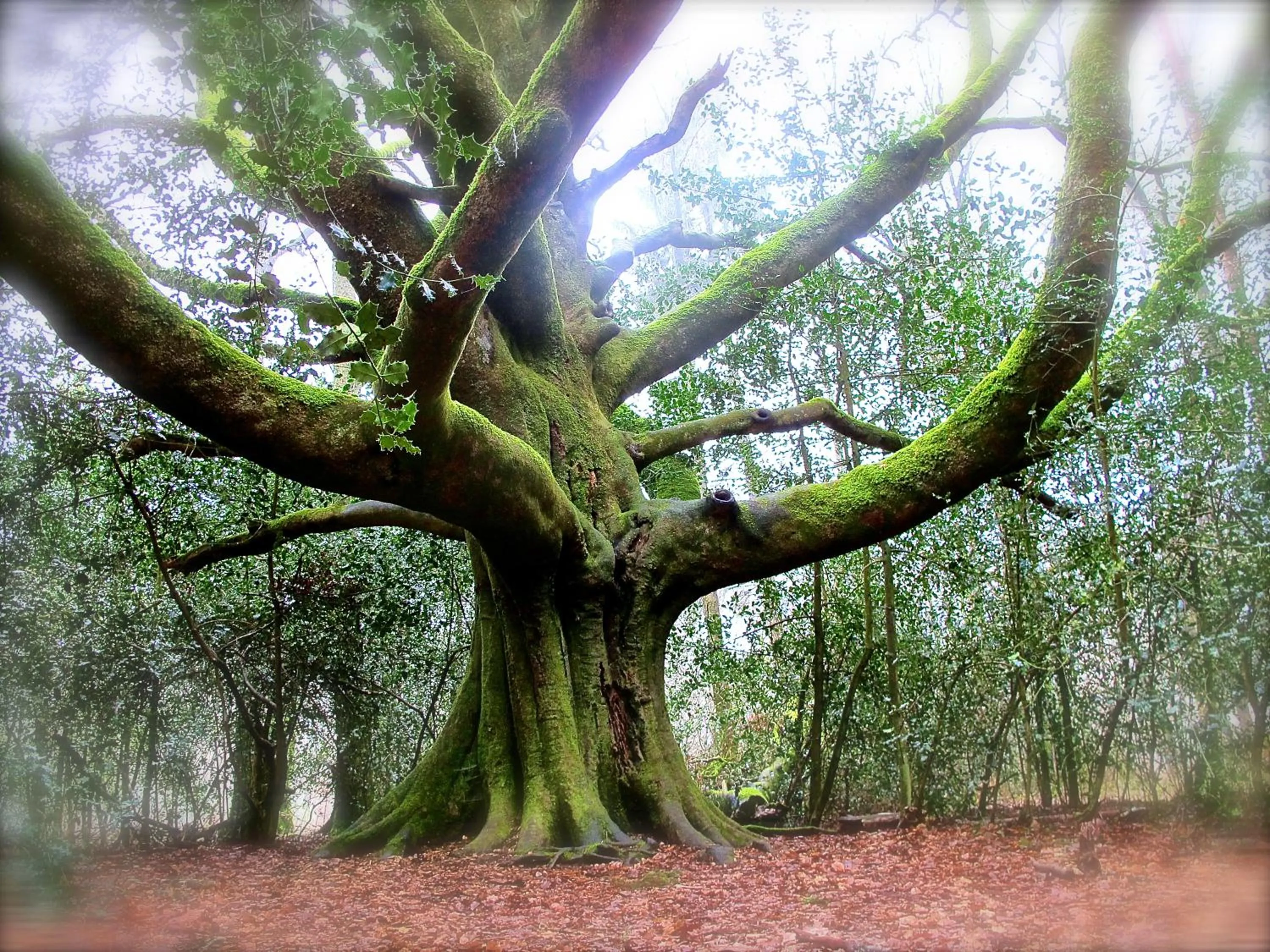 Landmark view in Kerarz - Chambre d'hôtes