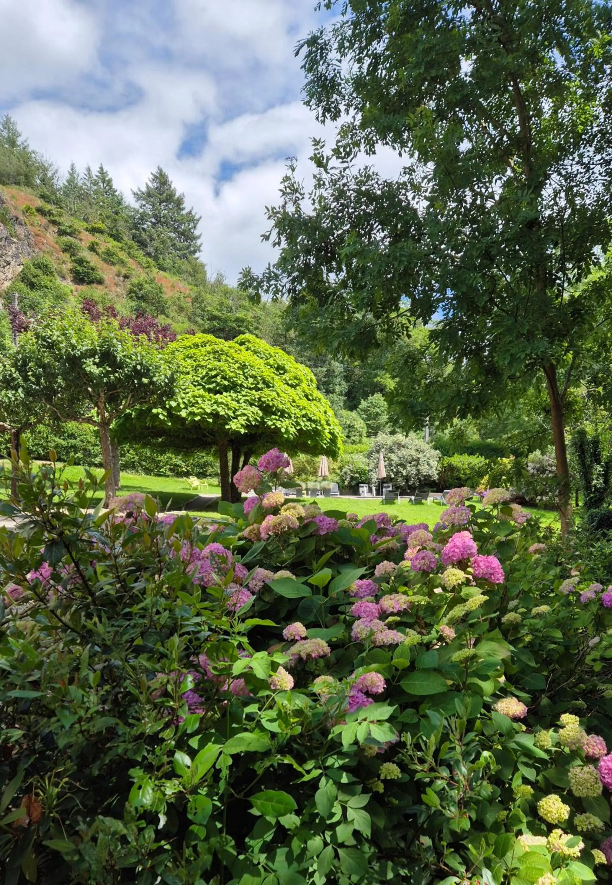 Garden in Moulin Renaudiots - Escapade Luxe Refuge cosy & Bourgogne au coin du feu