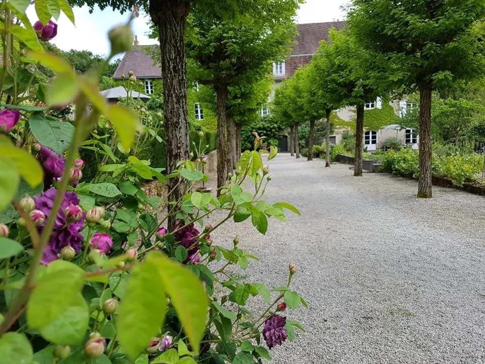 Garden in Moulin Renaudiots - Escapade Luxe Refuge cosy & Bourgogne au coin du feu
