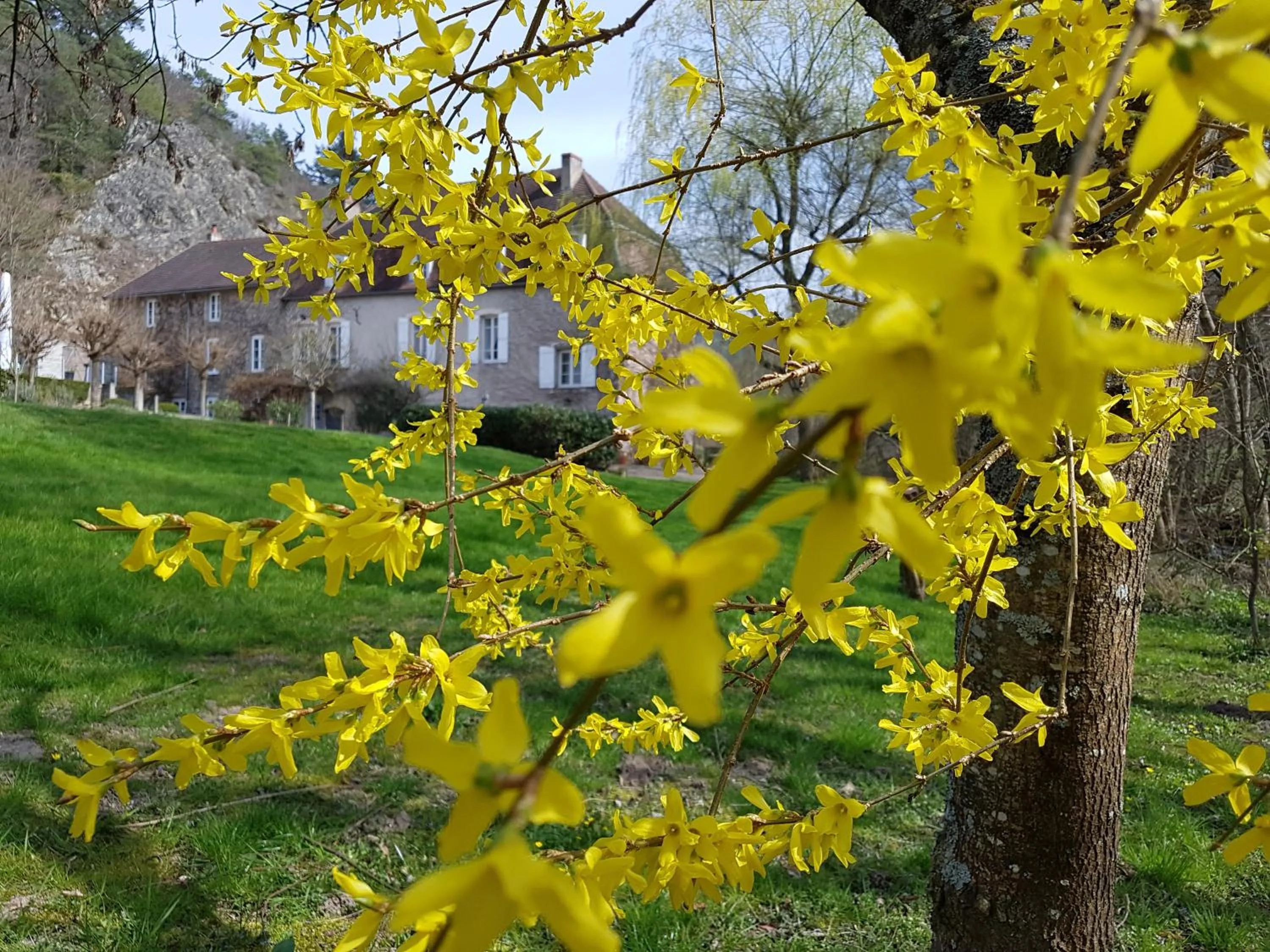 Spring in Moulin Renaudiots - Escapade Luxe Refuge cosy & Bourgogne au coin du feu