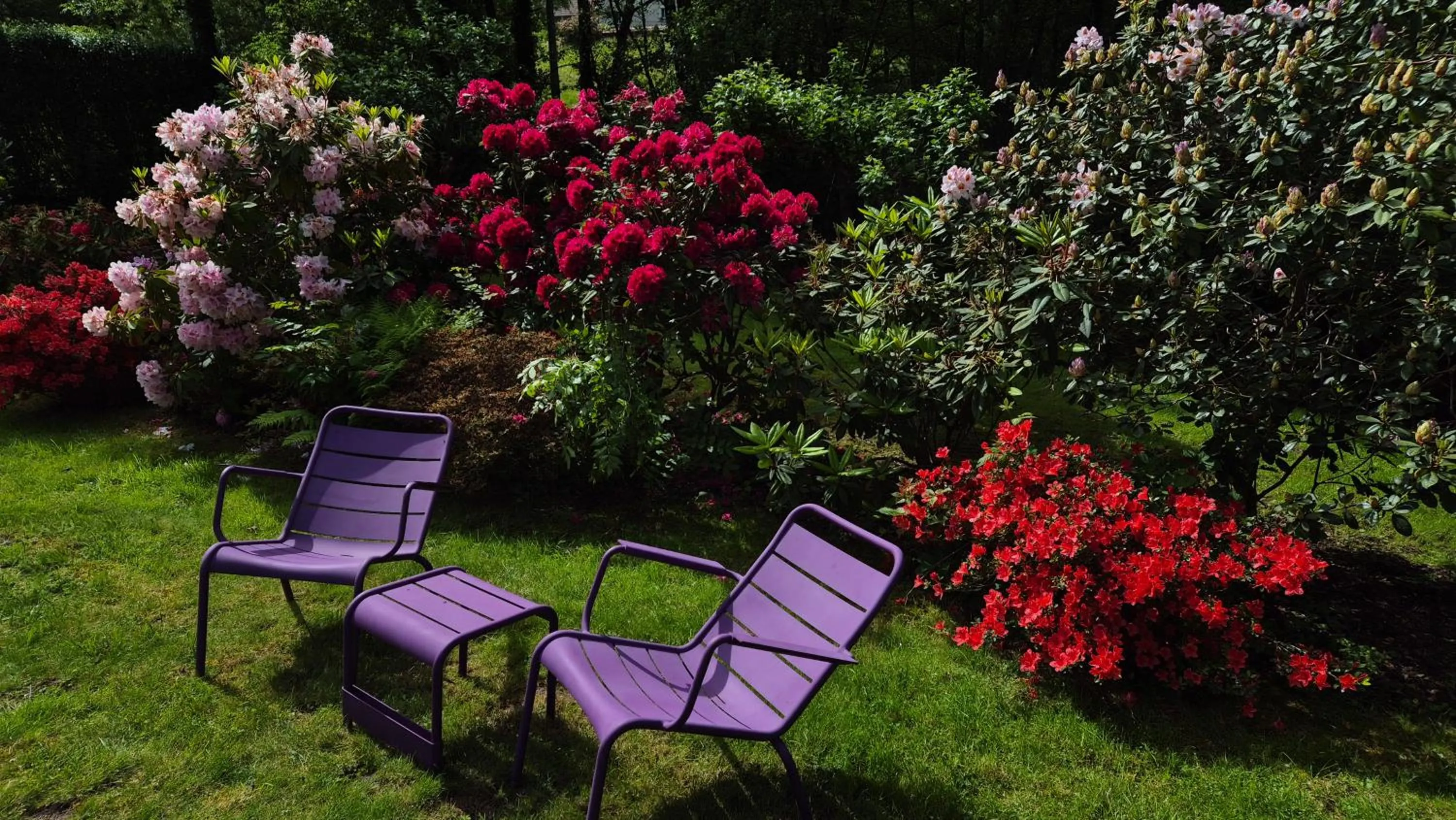 Garden in Moulin Renaudiots - Escapade Luxe Refuge cosy & Bourgogne au coin du feu