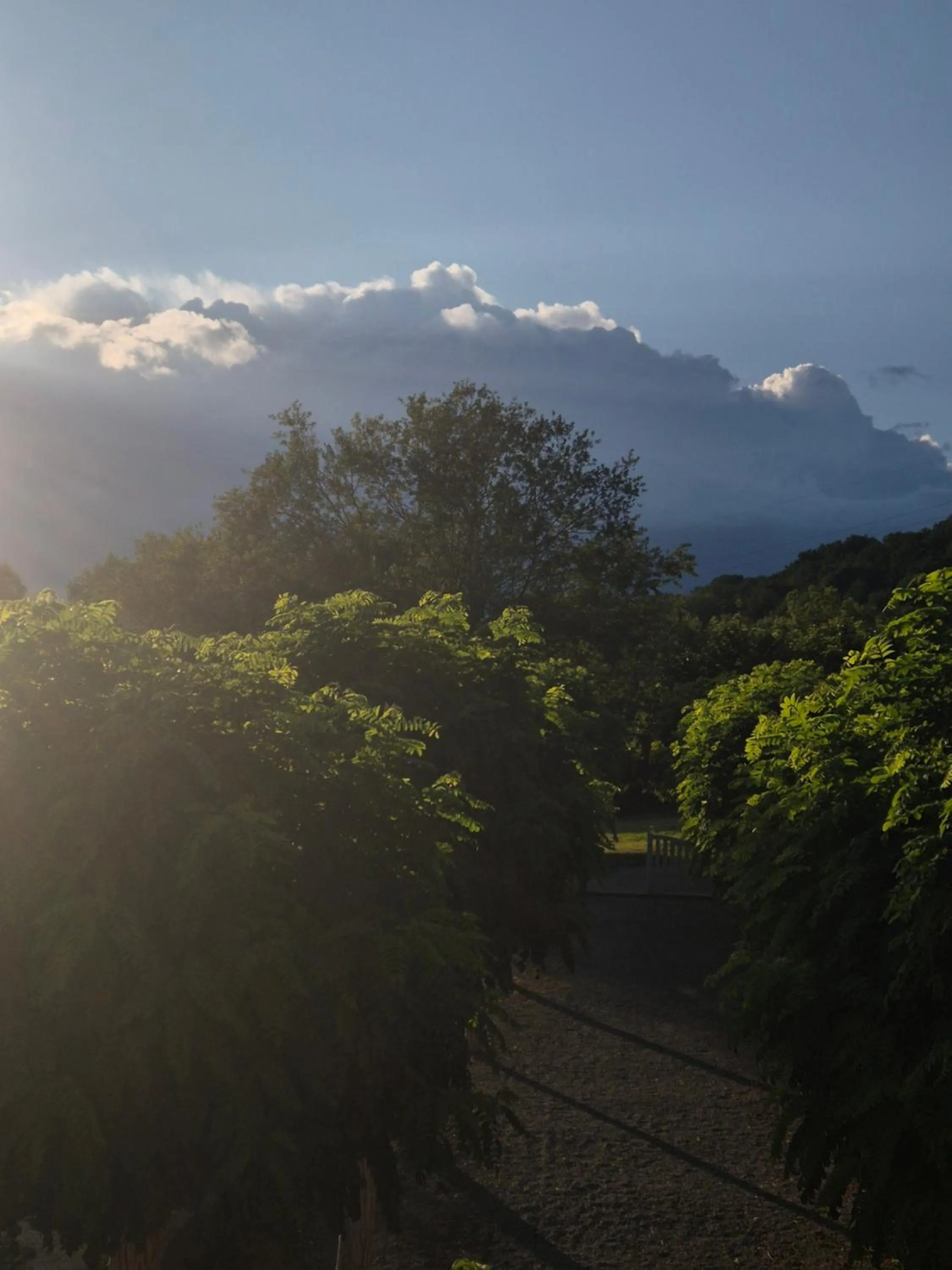 Garden in Moulin Renaudiots - Escapade Luxe Refuge cosy & Bourgogne au coin du feu