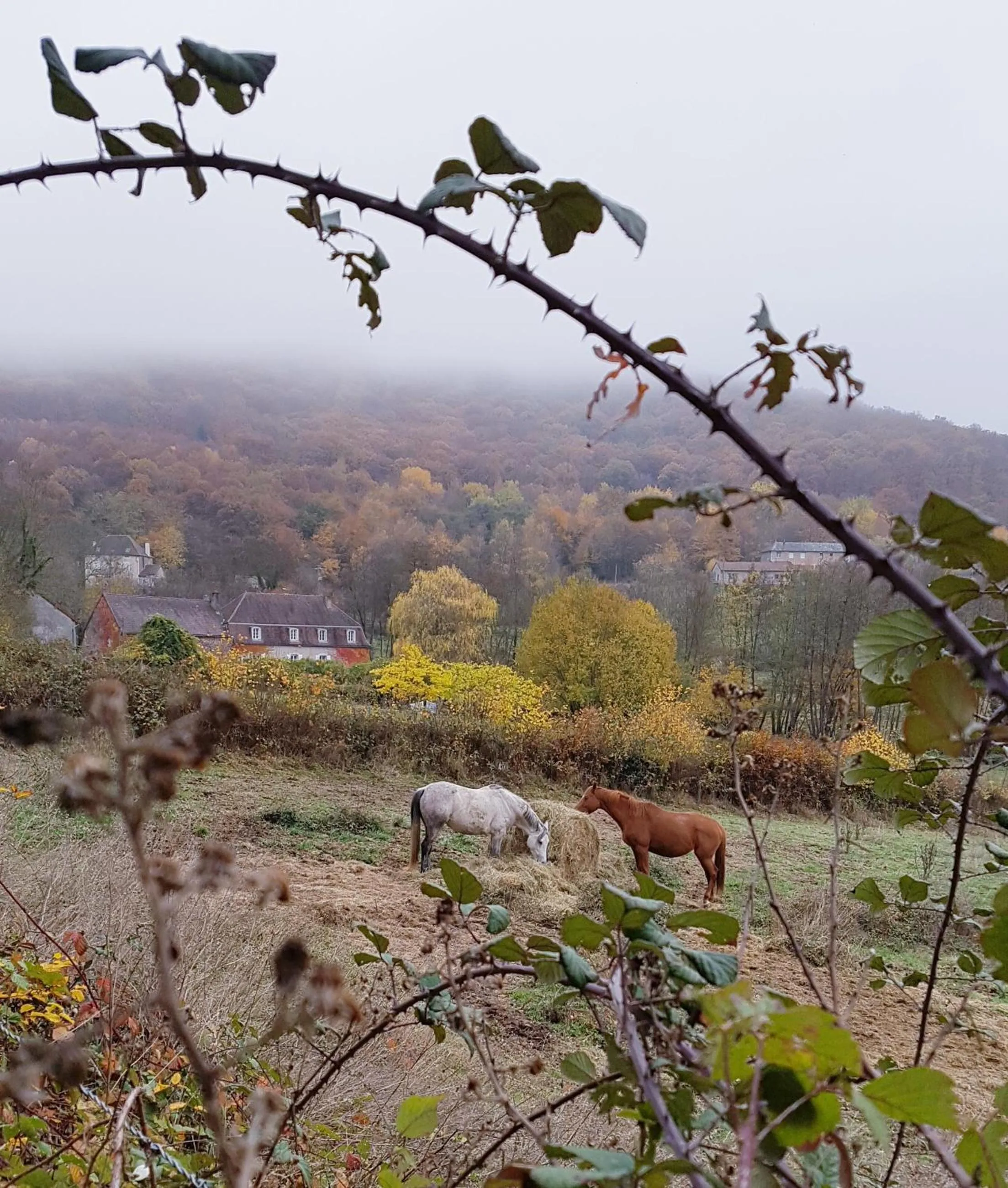 Natural landscape in Moulin Renaudiots - Escapade Luxe Refuge cosy & Bourgogne au coin du feu