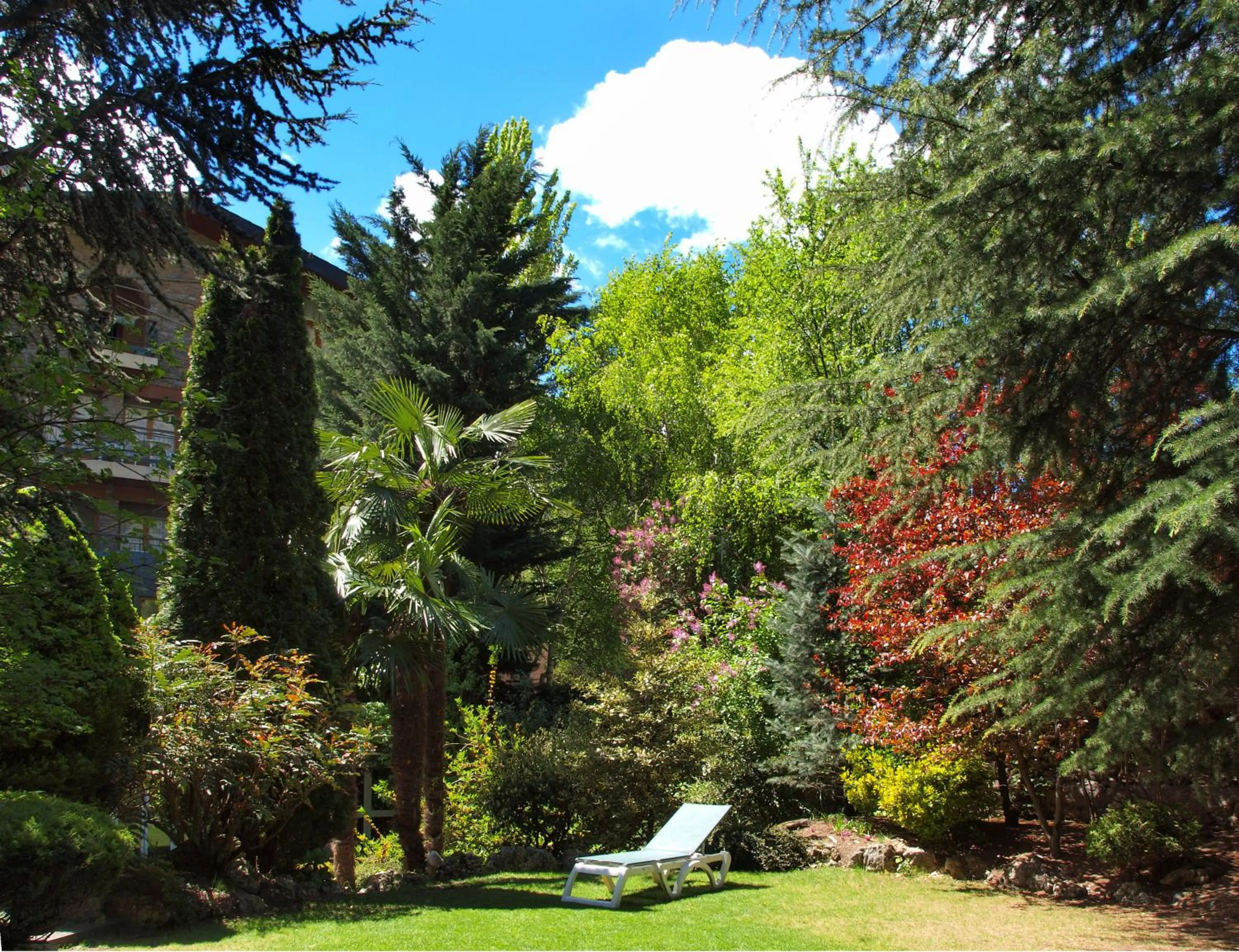 Natural landscape in Hotel Guillem & Spa