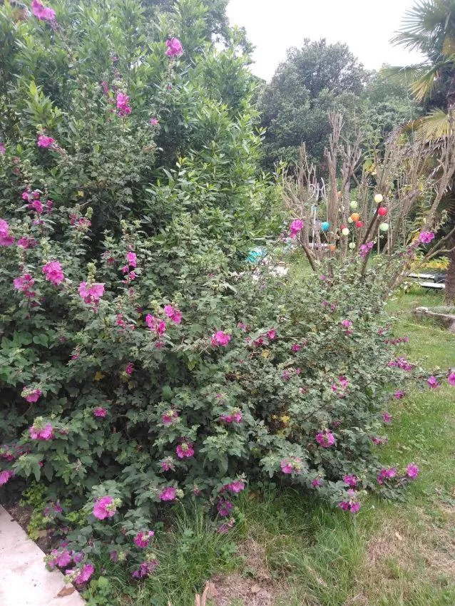 Château de la Prade