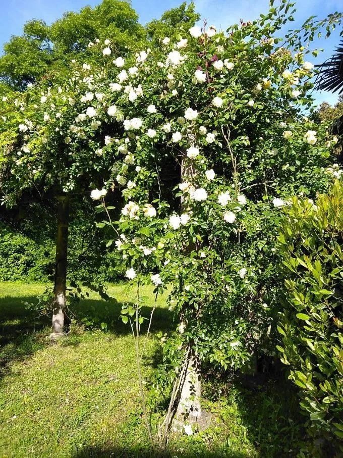 Château de la Prade