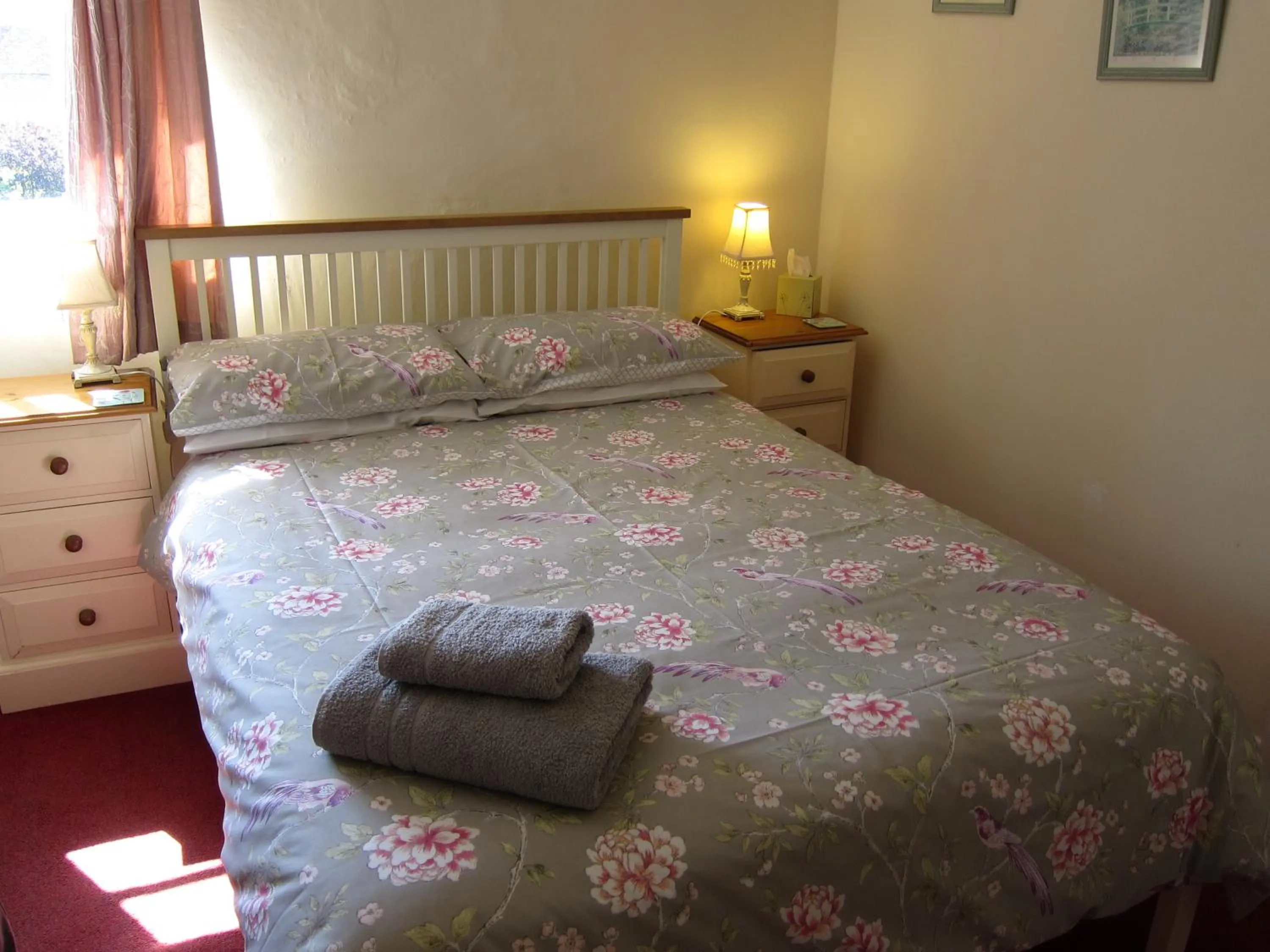 Double Room with Private Bathroom in Black Swan Guest House