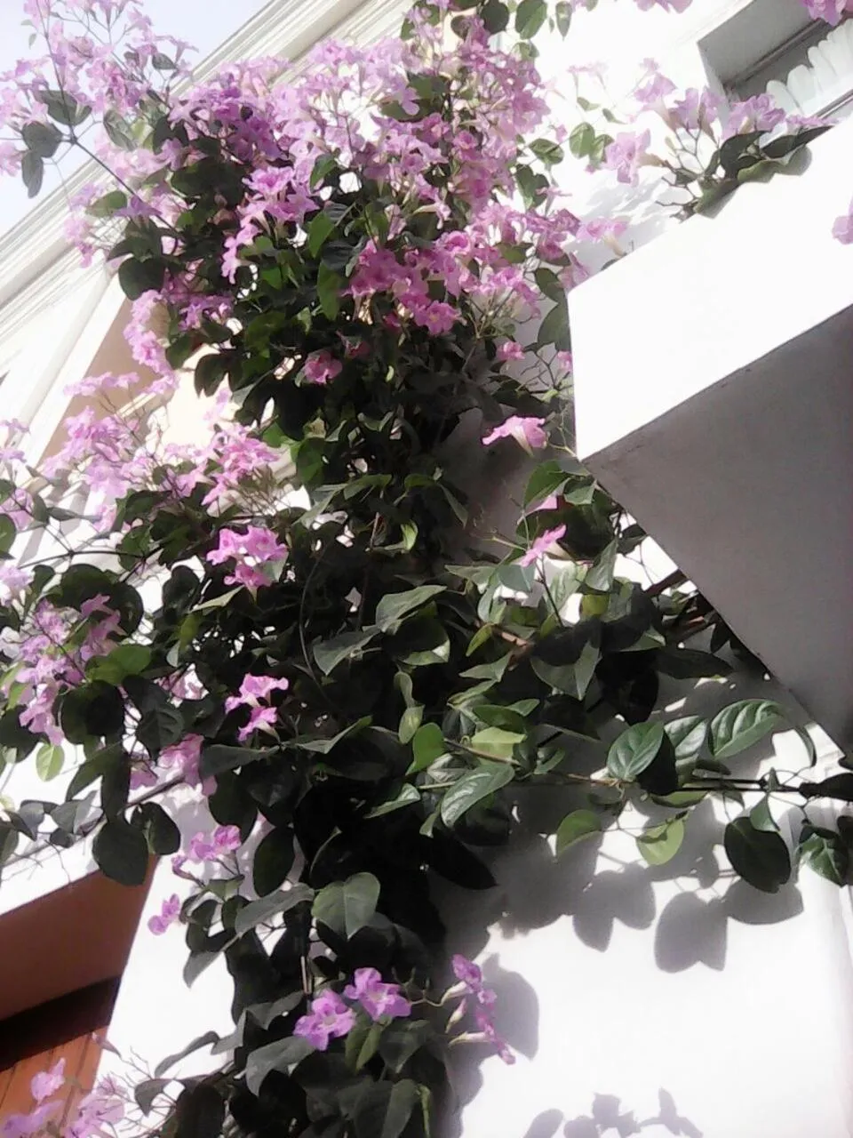 Off site in Hotel Fegali Art Boutique