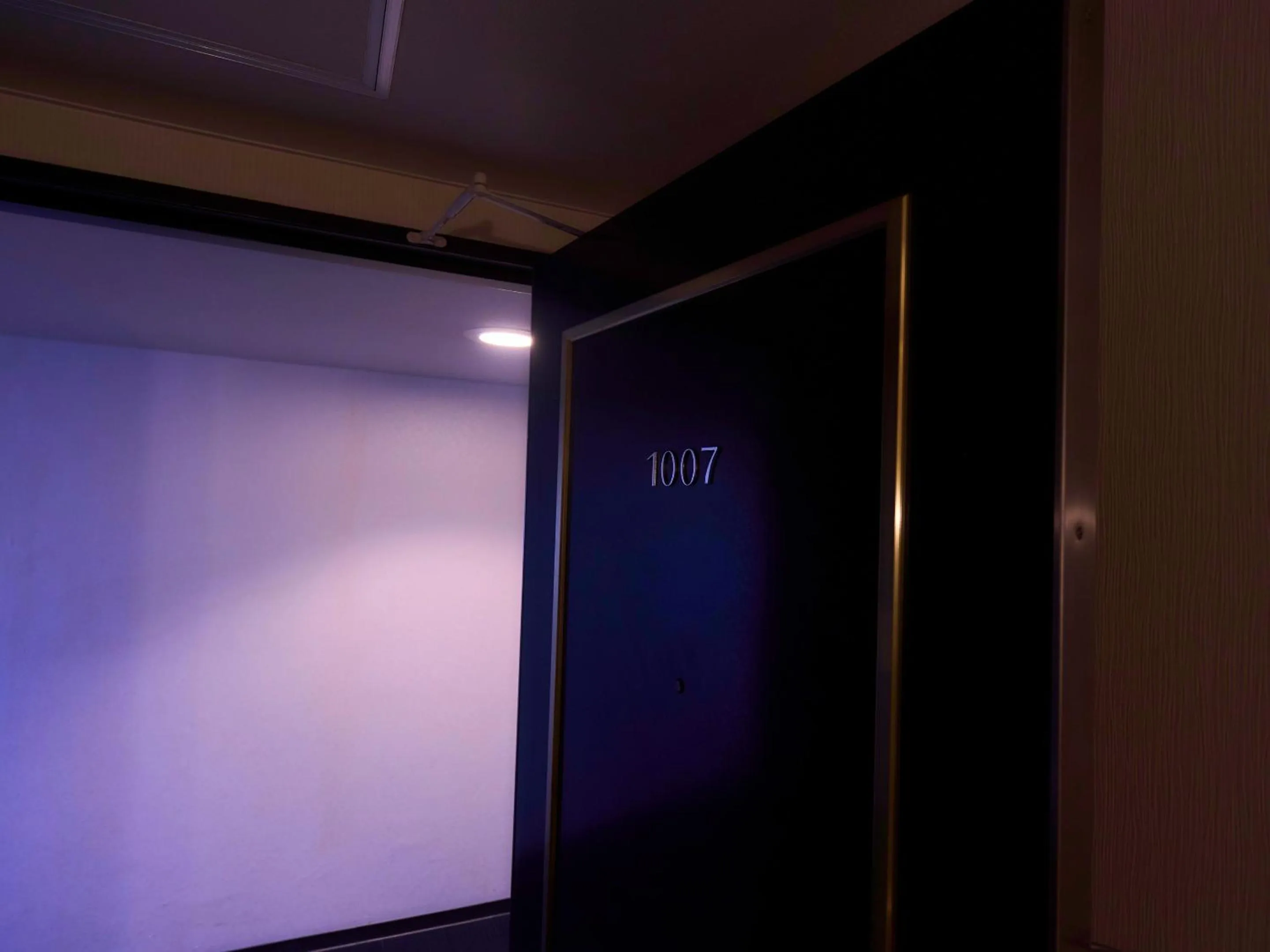 Photo of the whole room in Minakuchi Century Hotel