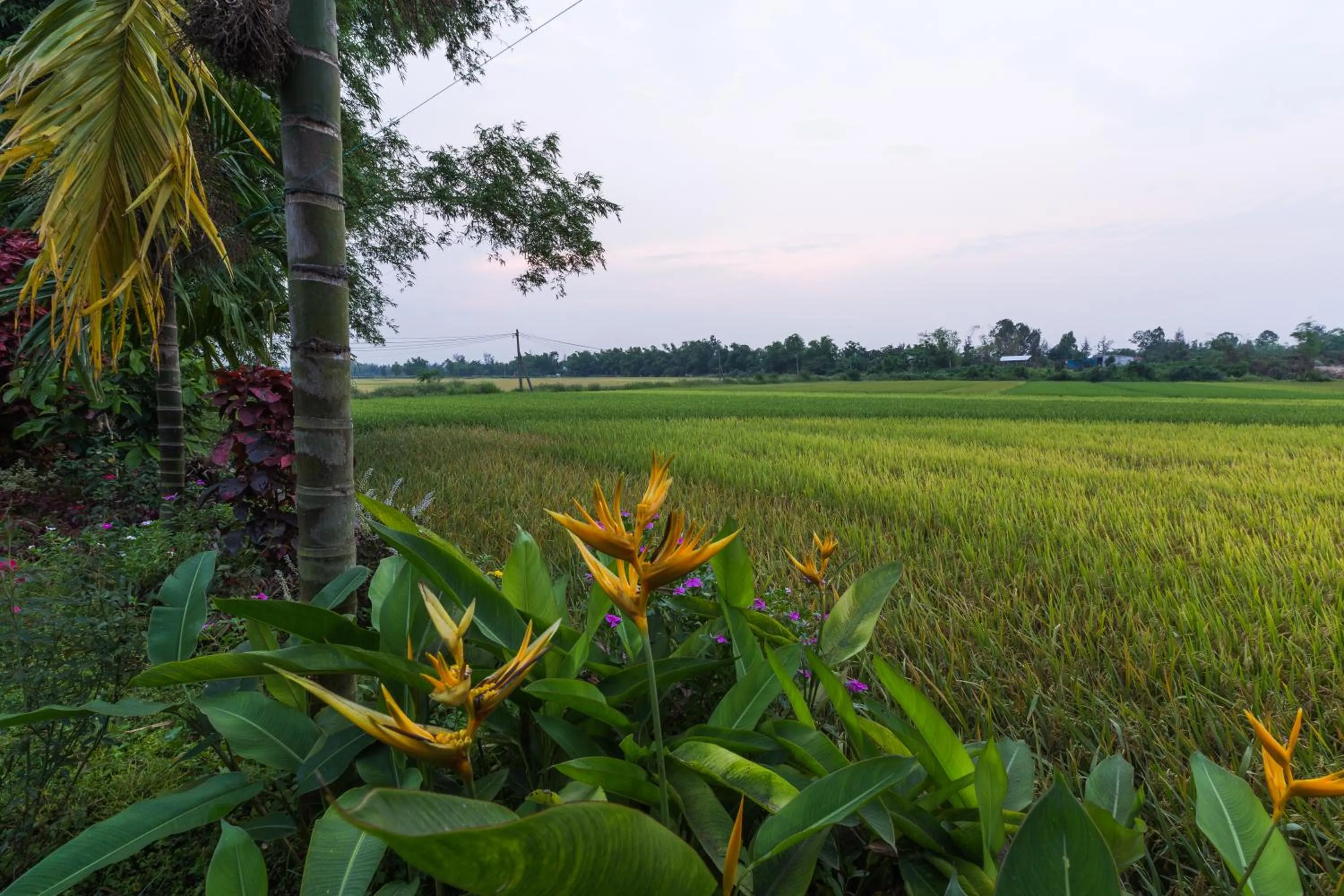 Landmark view in La Terrazza