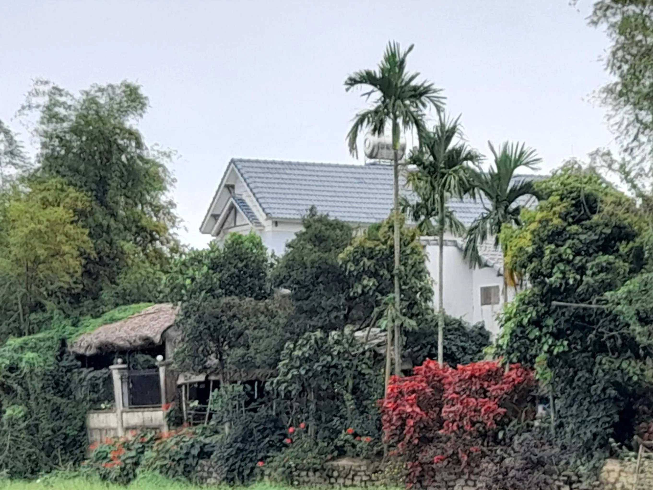 View (from property/room) in La Terrazza