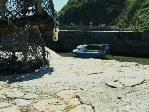 Dining area in The Britannia Inn & Waves Restaurant