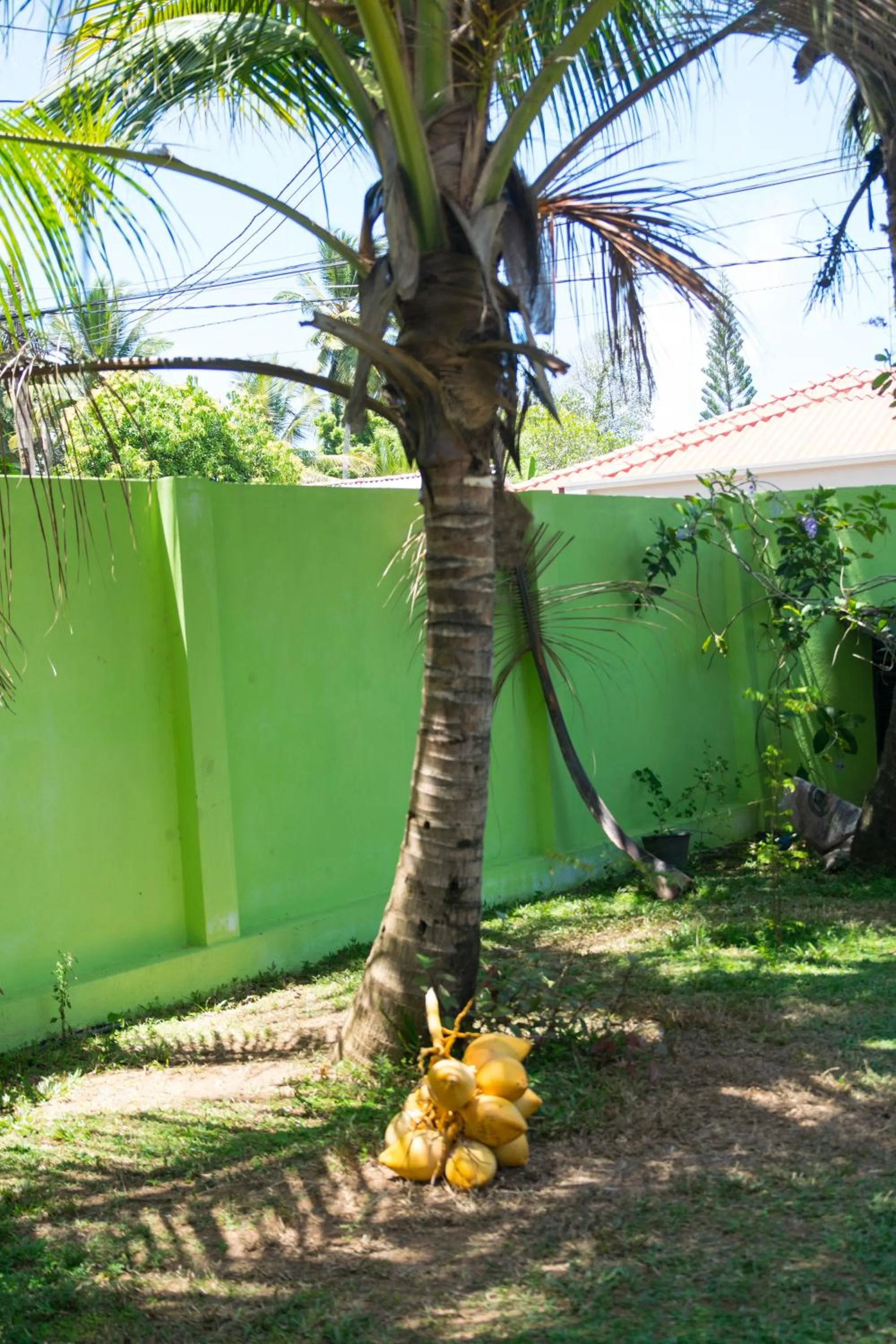 Off site in FEEL Beach Villa