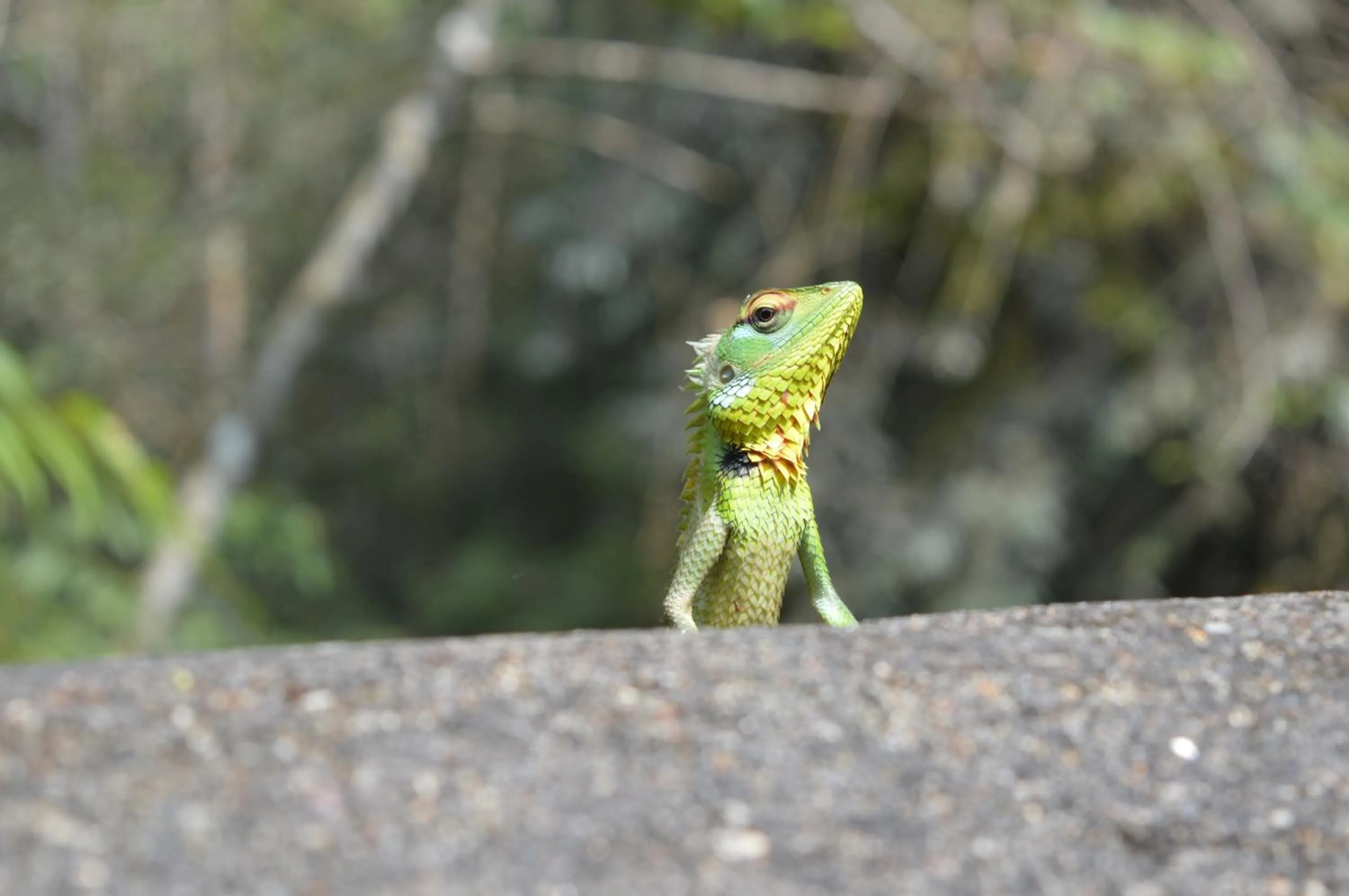 Other in FEEL Beach Villa