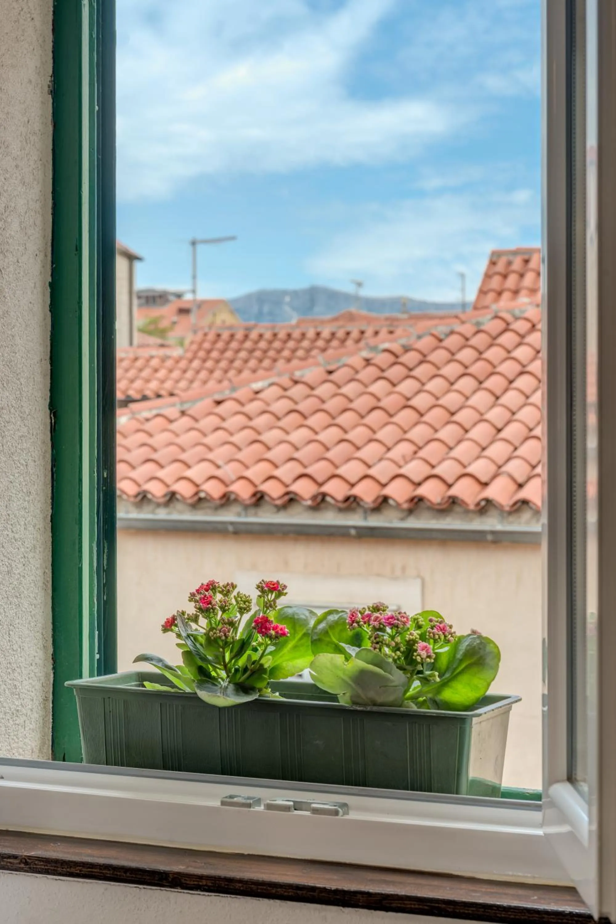 City view in Guesthouse Imperator