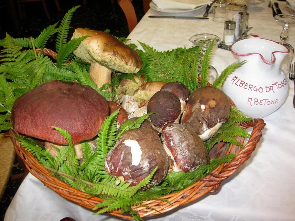 Albergo "da Tosca"
